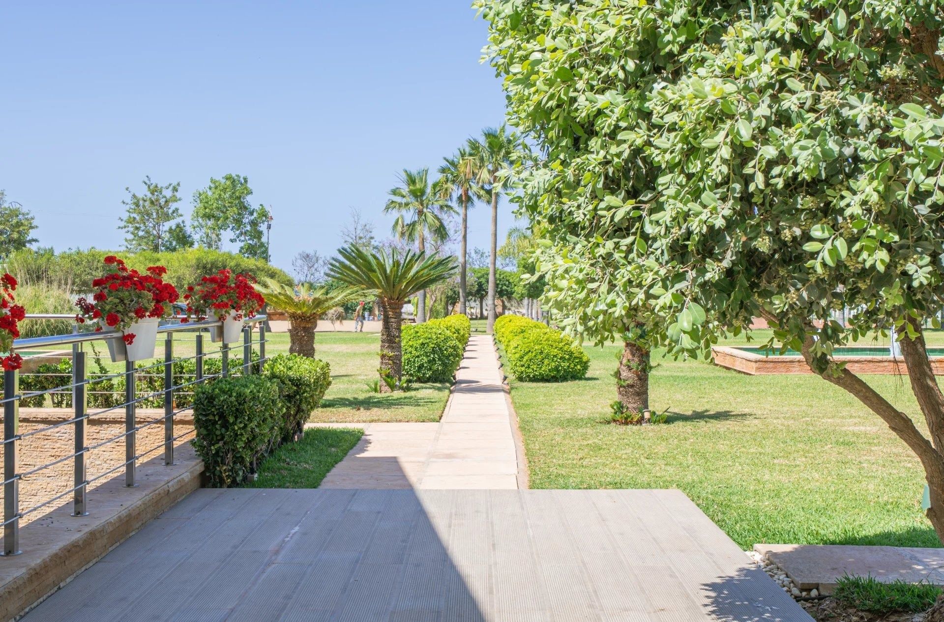 Acheter Fermette 18&nbsp;pièces 12500&nbsp;m² Nador