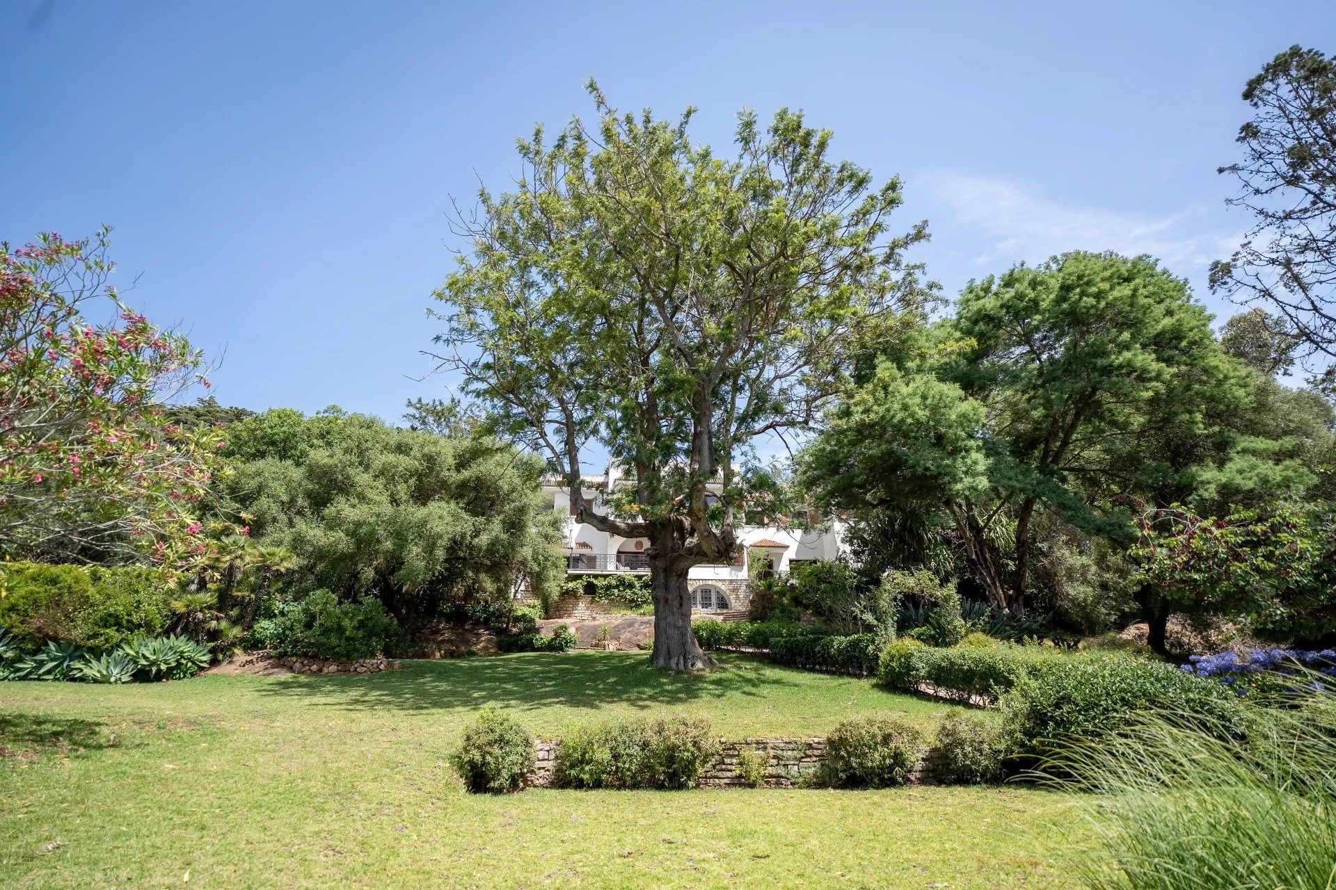 Acheter Villa 10&nbsp;pièces 650&nbsp;m² Tanger