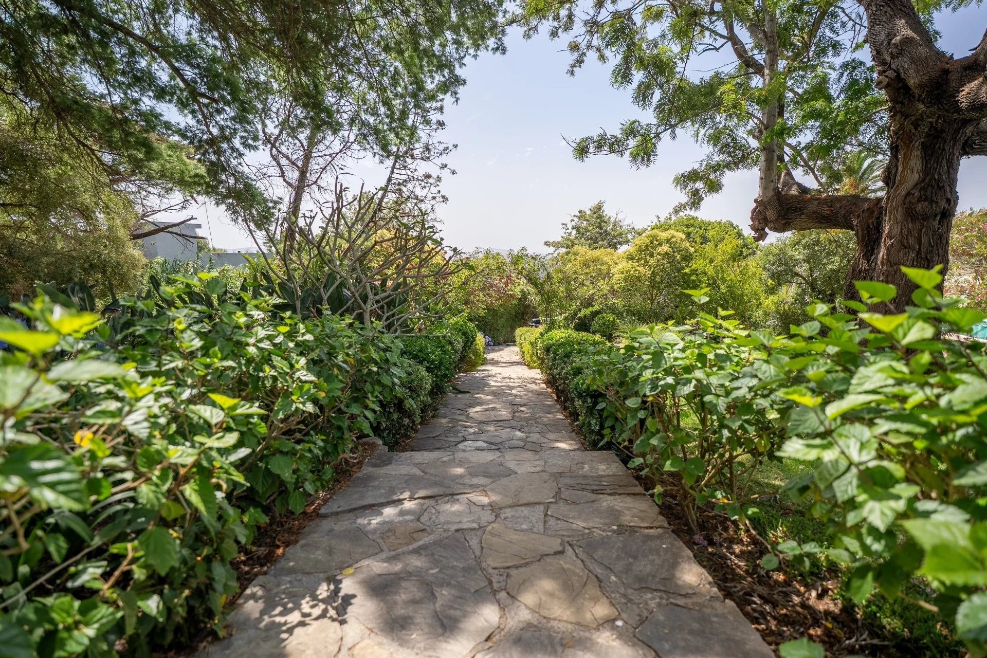 Acheter Villa 10&nbsp;pièces 650&nbsp;m² Tanger