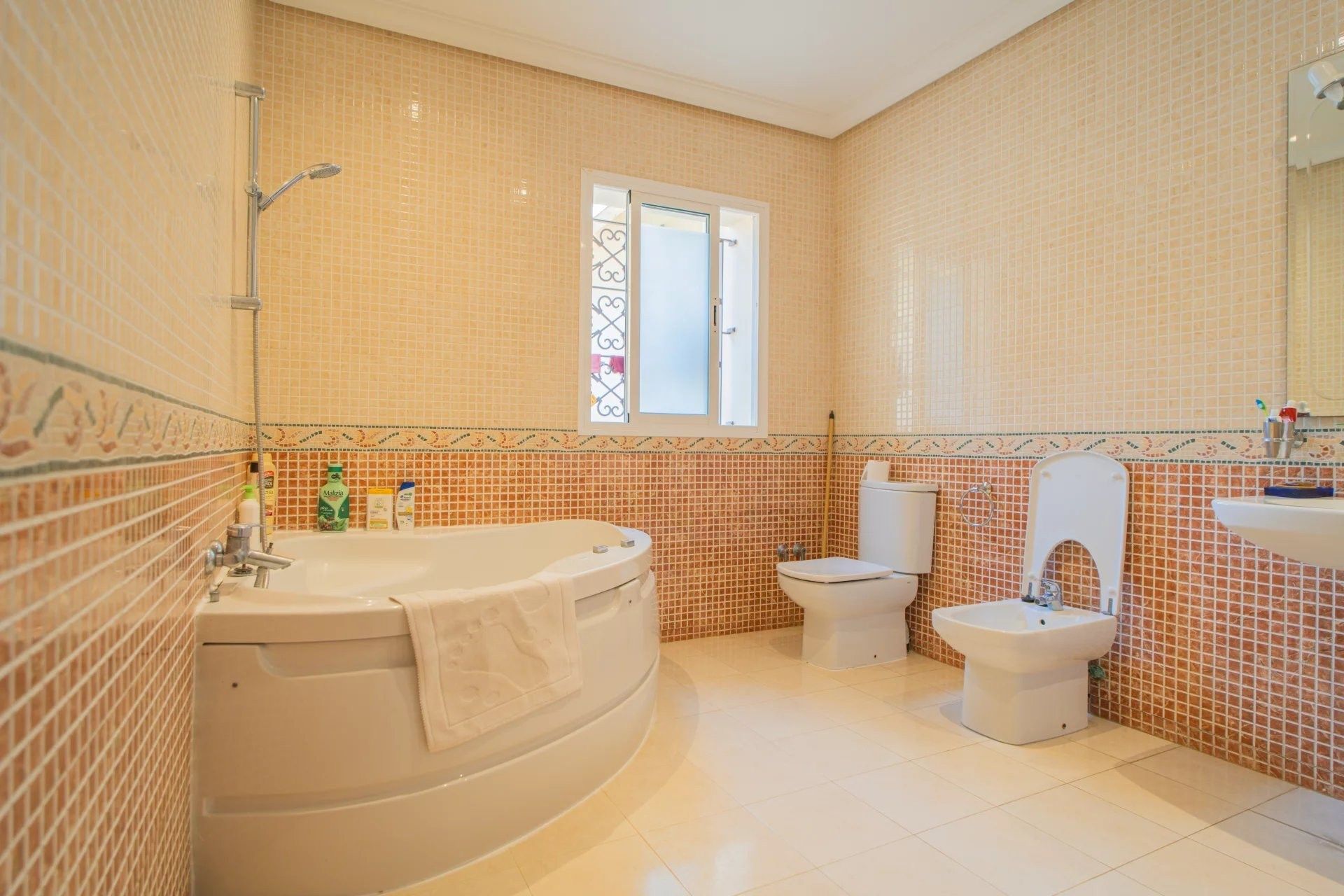 Acheter Villa 12&nbsp;pièces 1033&nbsp;m² Tanger