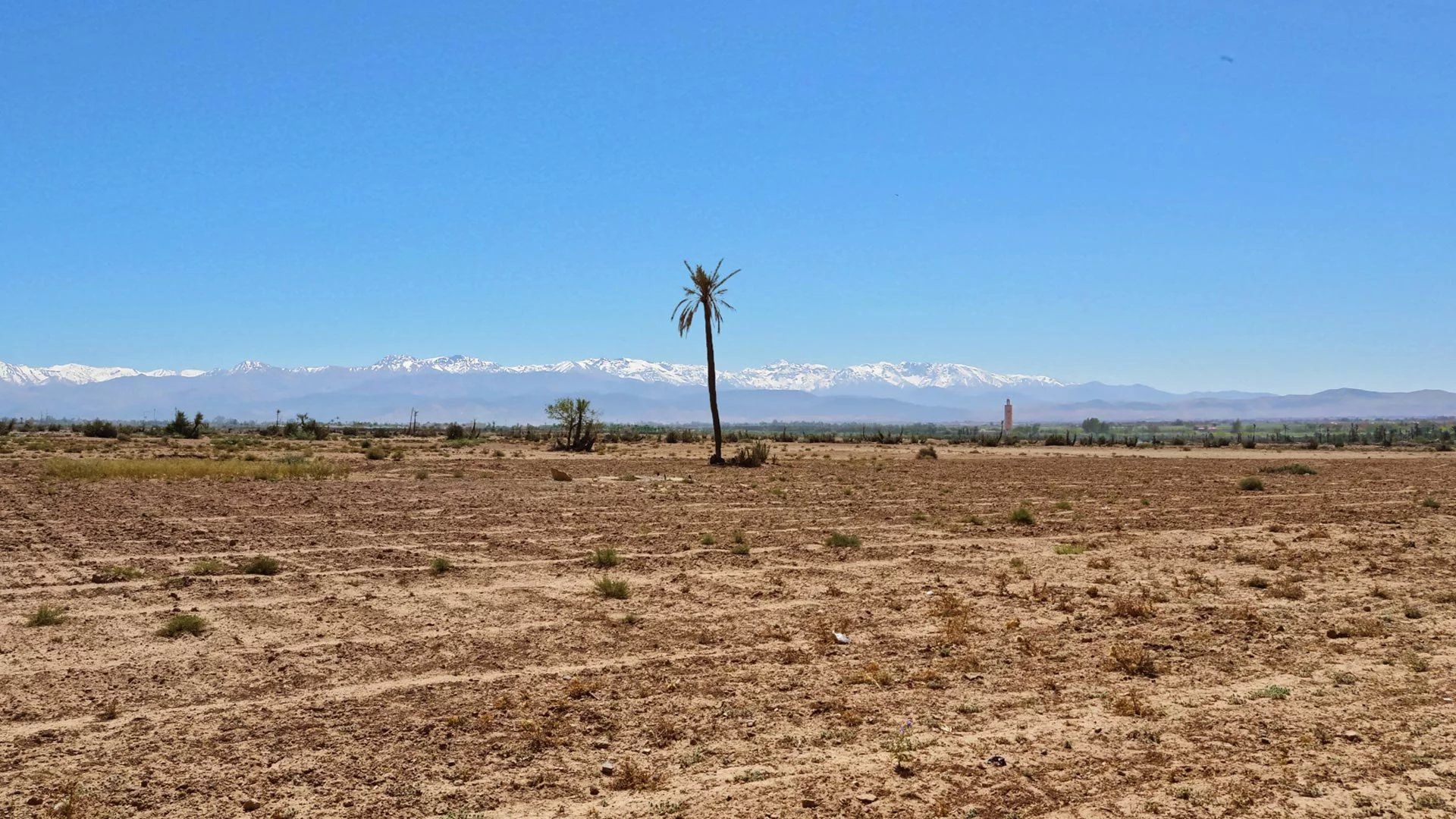 Acheter Terrain 10&nbsp;ha Marrakech