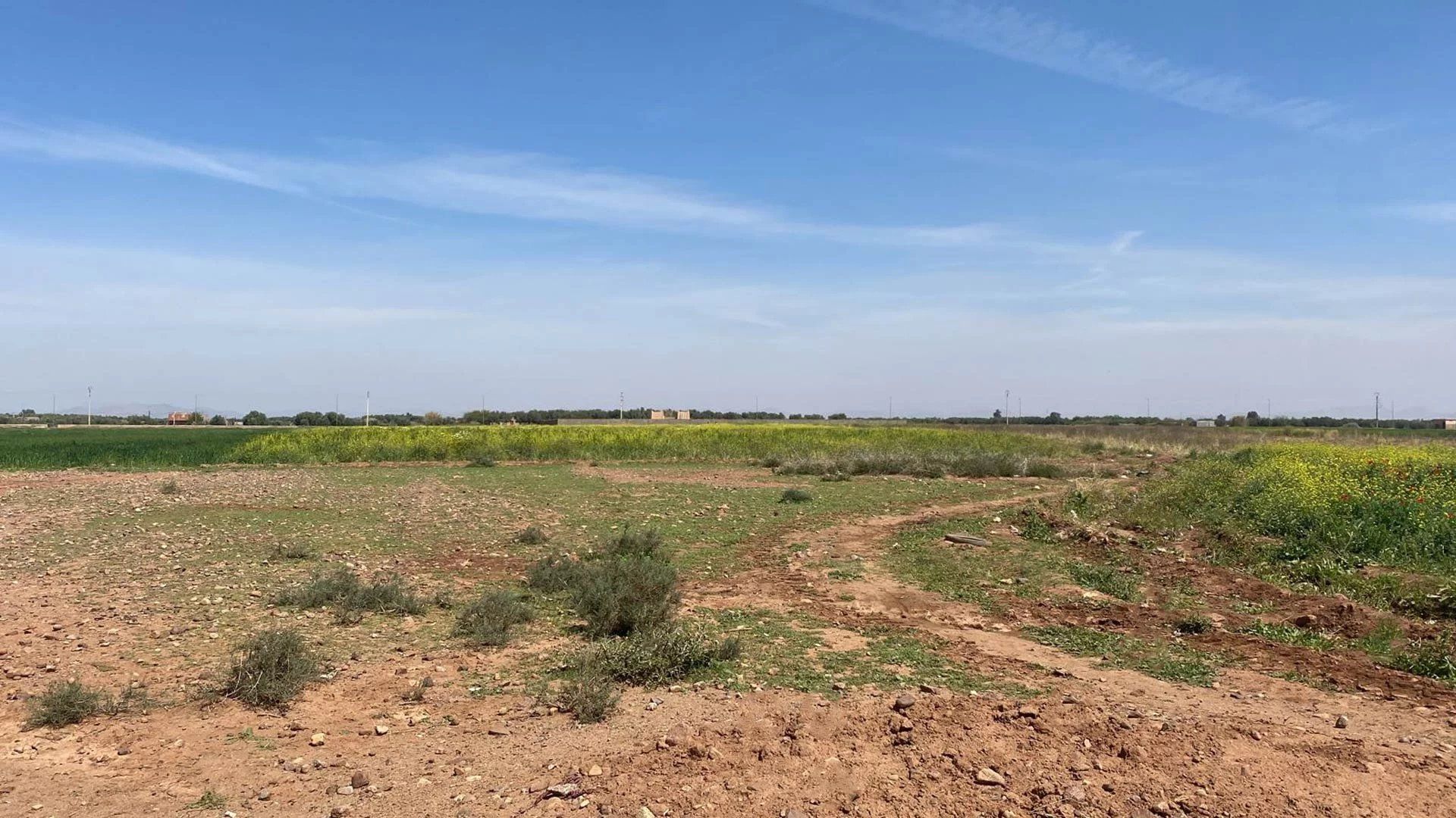 Buy Buildable land 11.8&nbsp;ha Marrakech