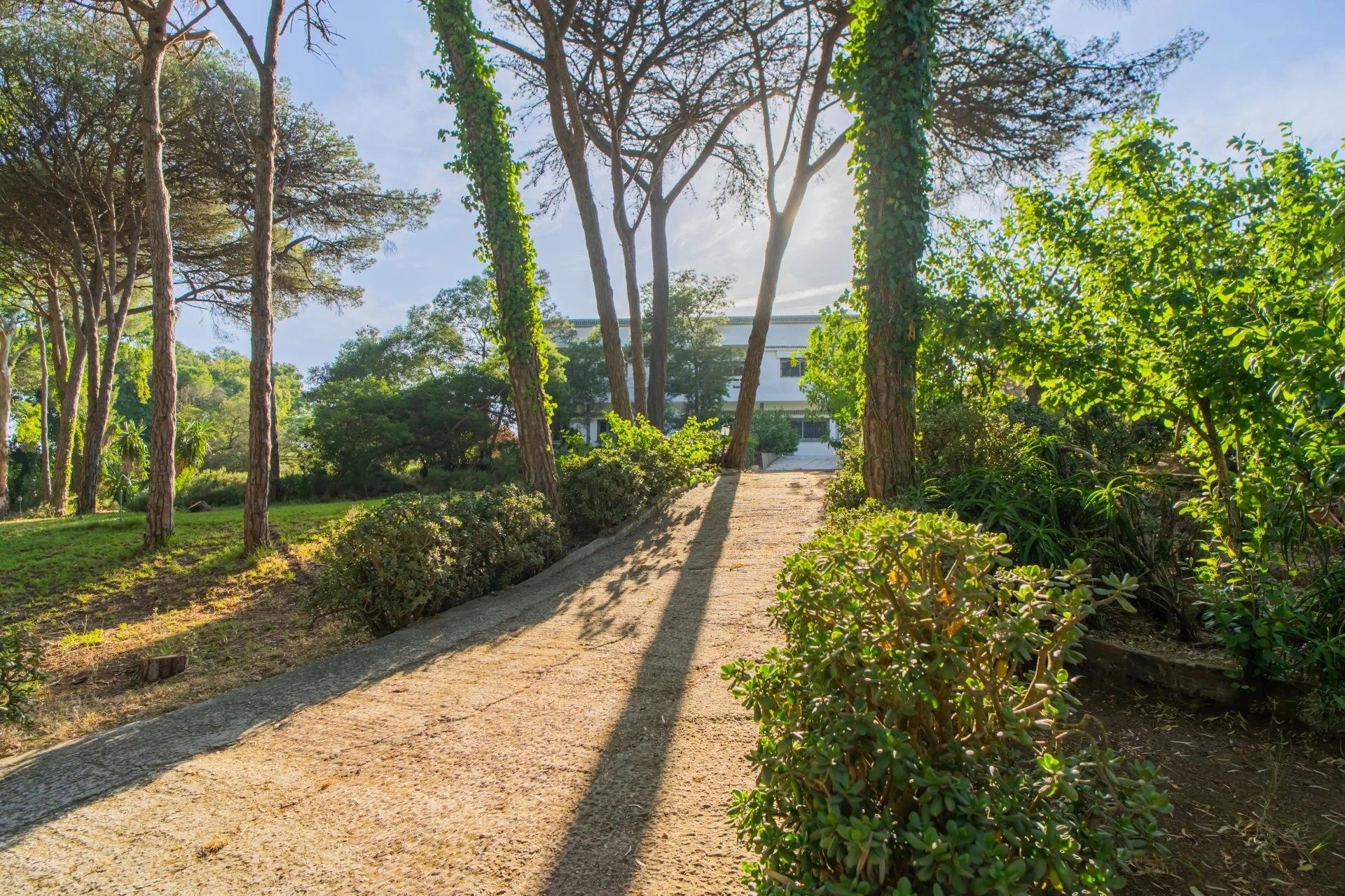 Acheter Villa 10&nbsp;pièces 1760&nbsp;m² Tanger