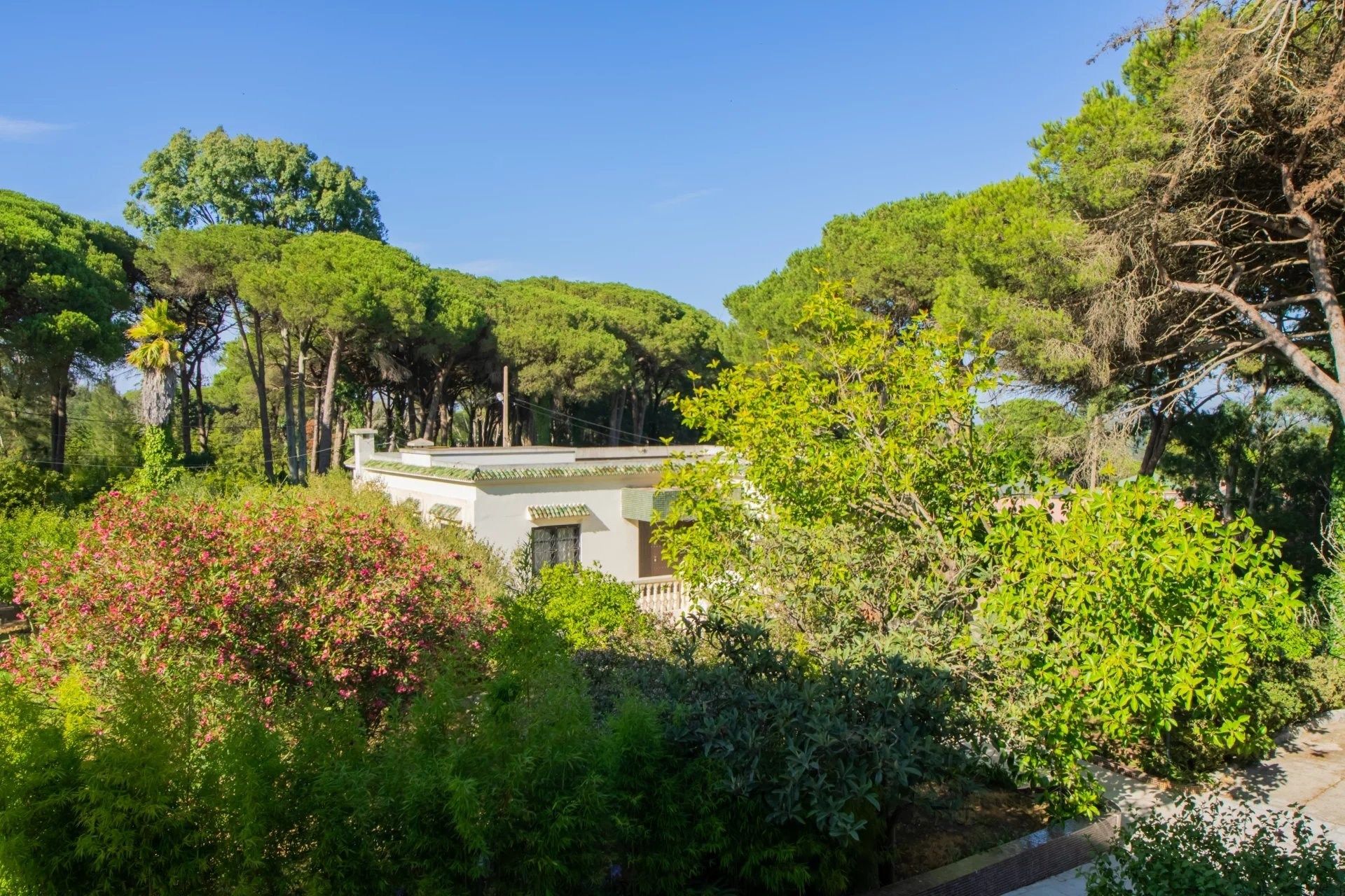 Acheter Villa 10&nbsp;pièces 1760&nbsp;m² Tanger