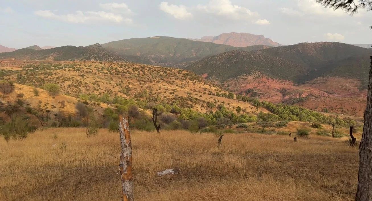 Acheter Terrain 6.62&nbsp;ha Tnine Ourika
