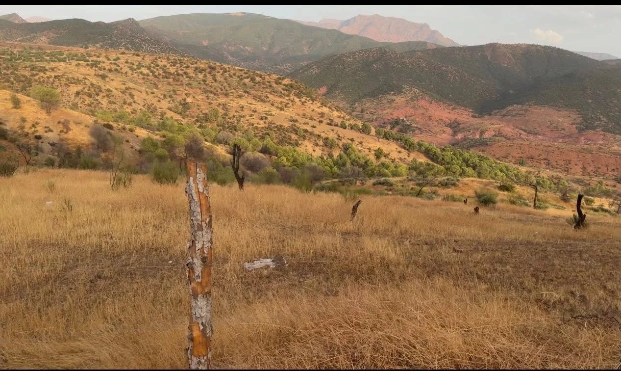 Acheter Terrain 6.62&nbsp;ha Tnine Ourika