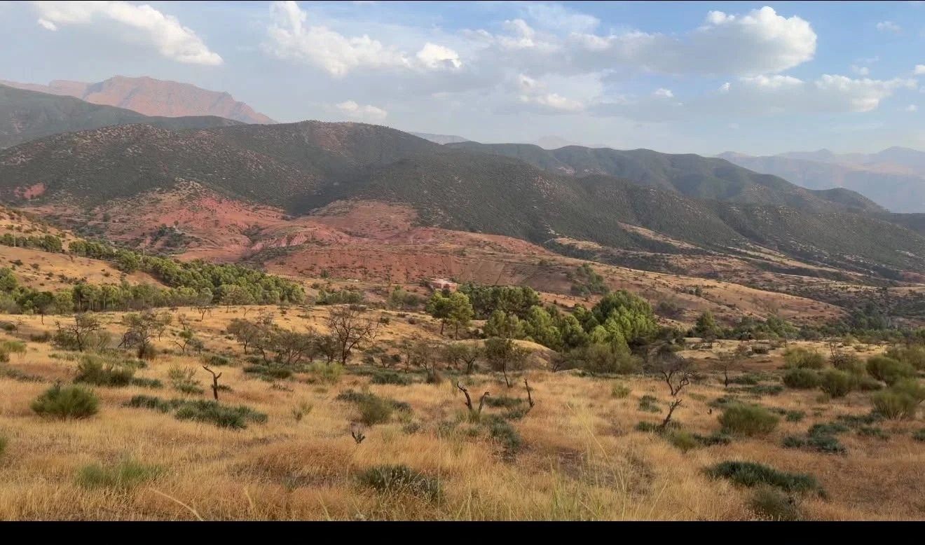 Acheter Terrain 6.62&nbsp;ha Tnine Ourika