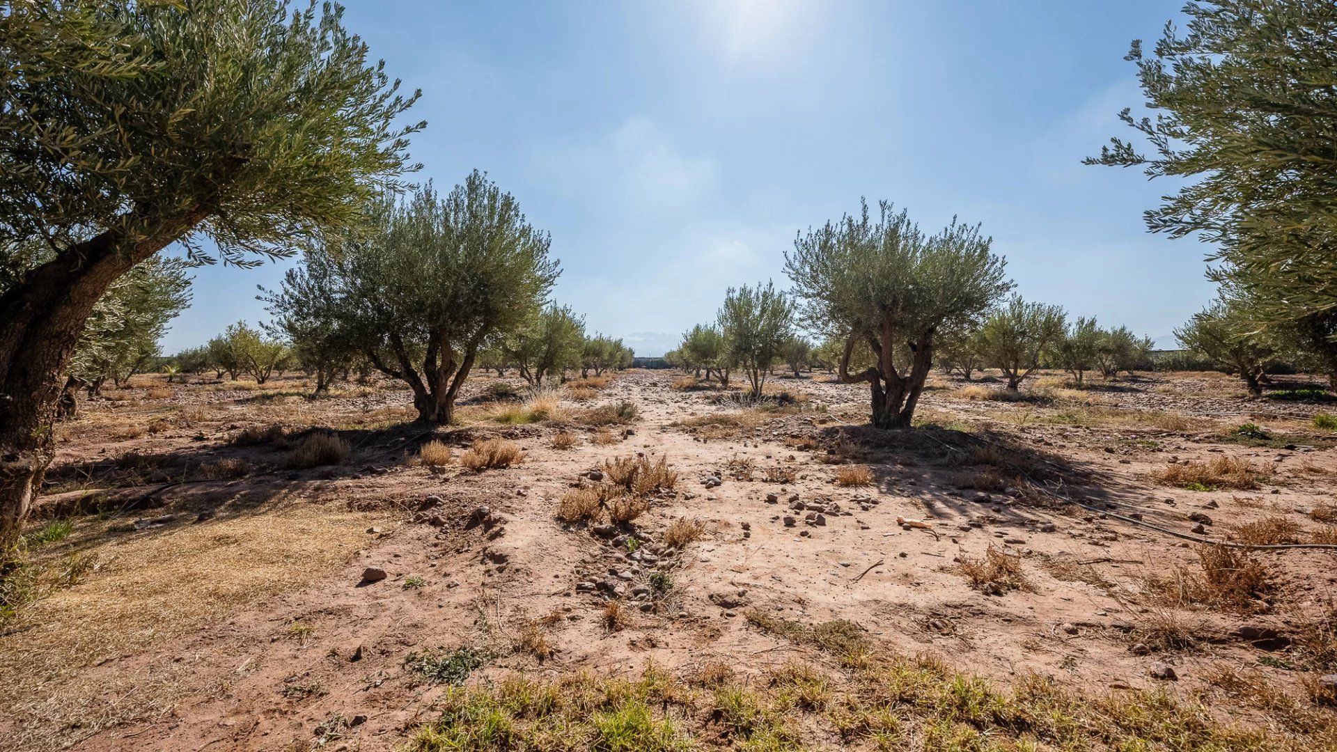 Acheter Villa 10 pièces 850 m² Marrakech