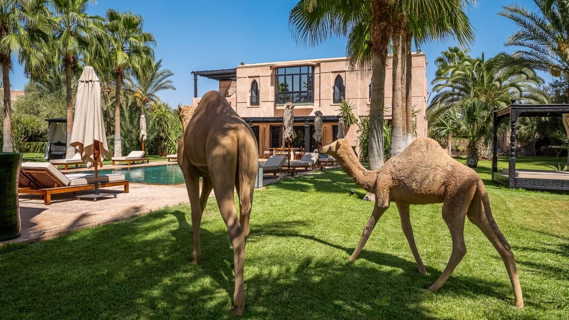 Acheter Maison 8&nbsp;pièces 569&nbsp;m² Marrakech