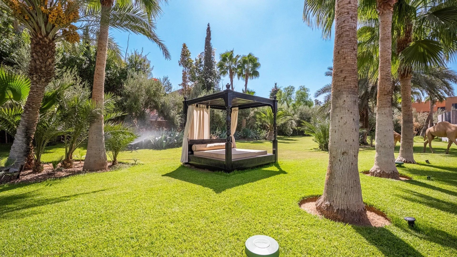 Acheter Maison 8&nbsp;pièces 569&nbsp;m² Marrakech