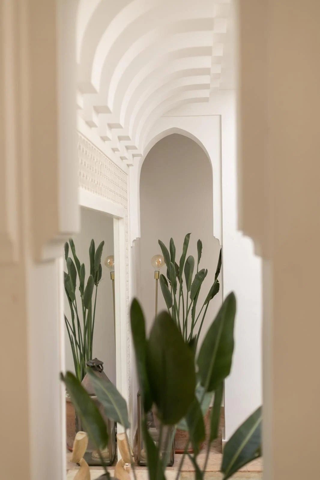 Acheter Riad 7&nbsp;pièces 290&nbsp;m² Marrakech