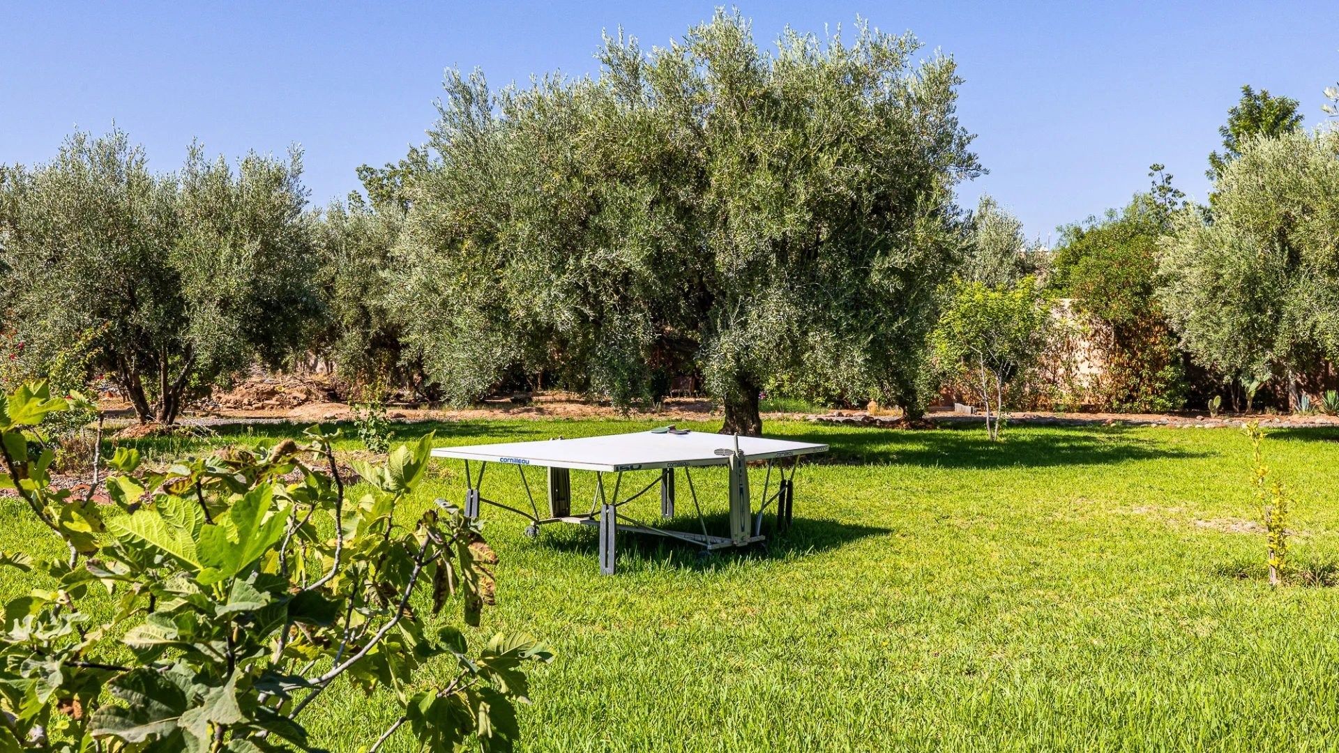 Acheter Villa 10&nbsp;pièces 10000&nbsp;m² Marrakech