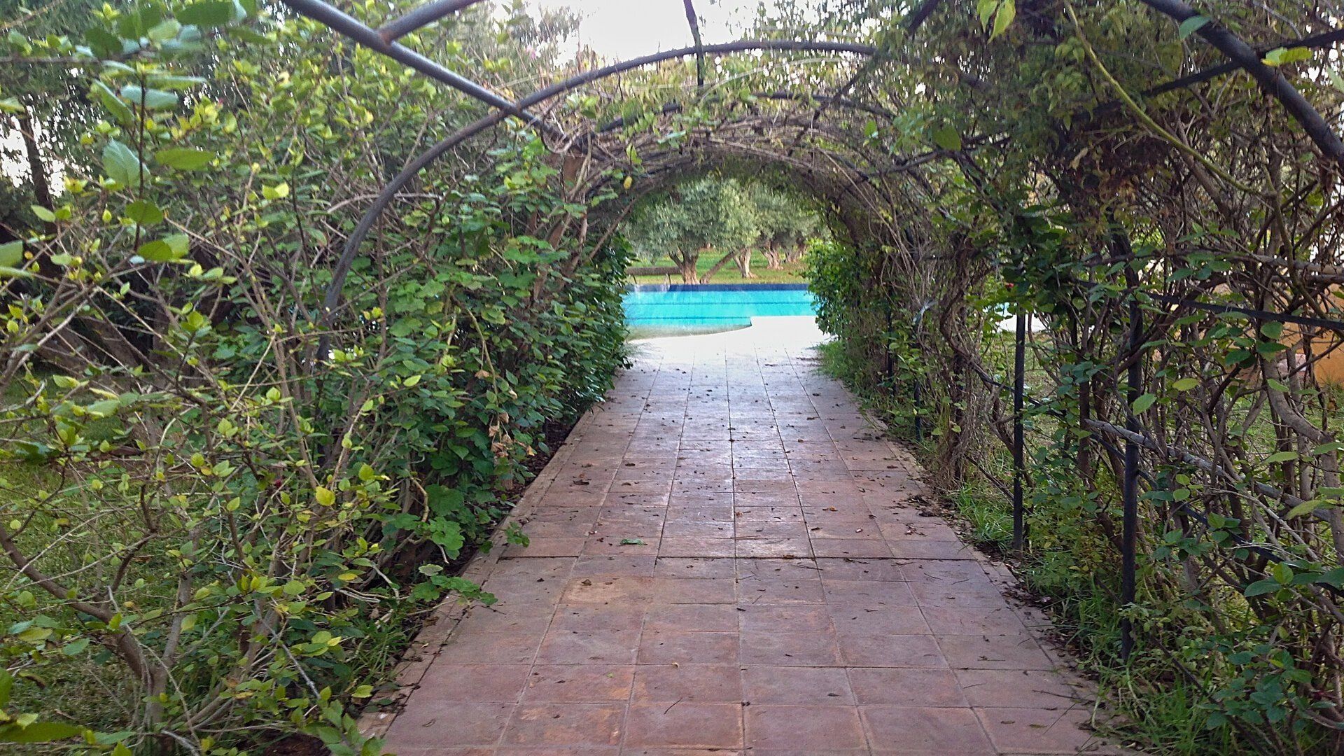 Buy Villa 9 rooms 1600 m² Marrakech