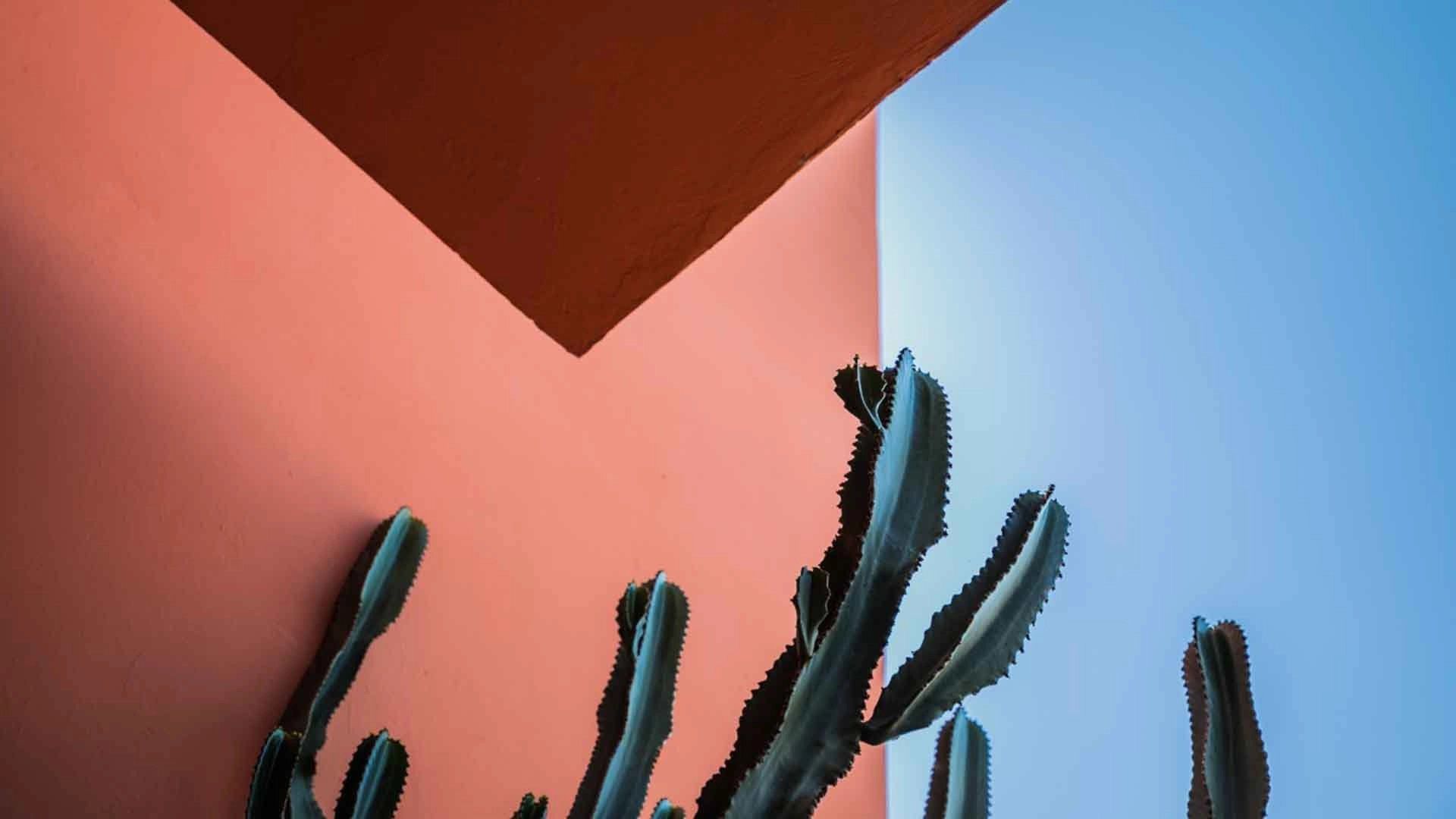 Buy Villa 11 rooms 1100 m² Marrakech