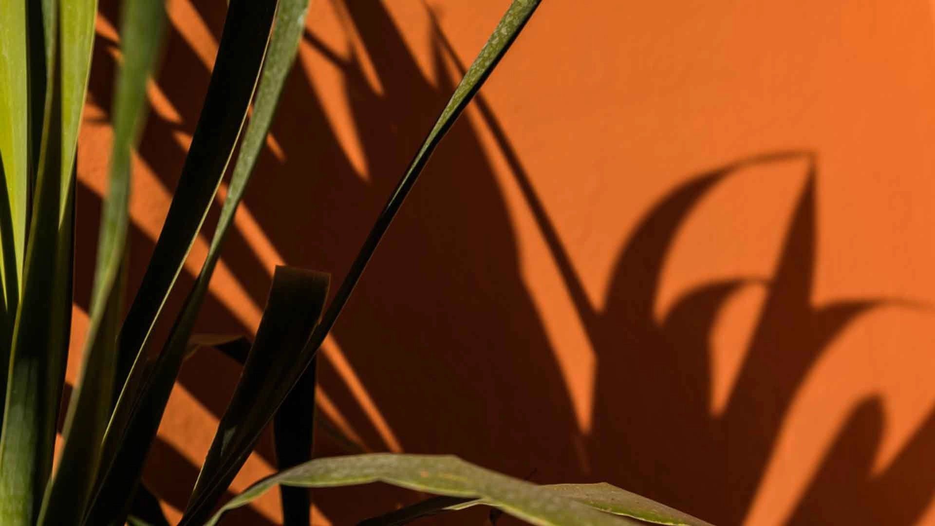 Buy Villa 11 rooms 1100 m² Marrakech