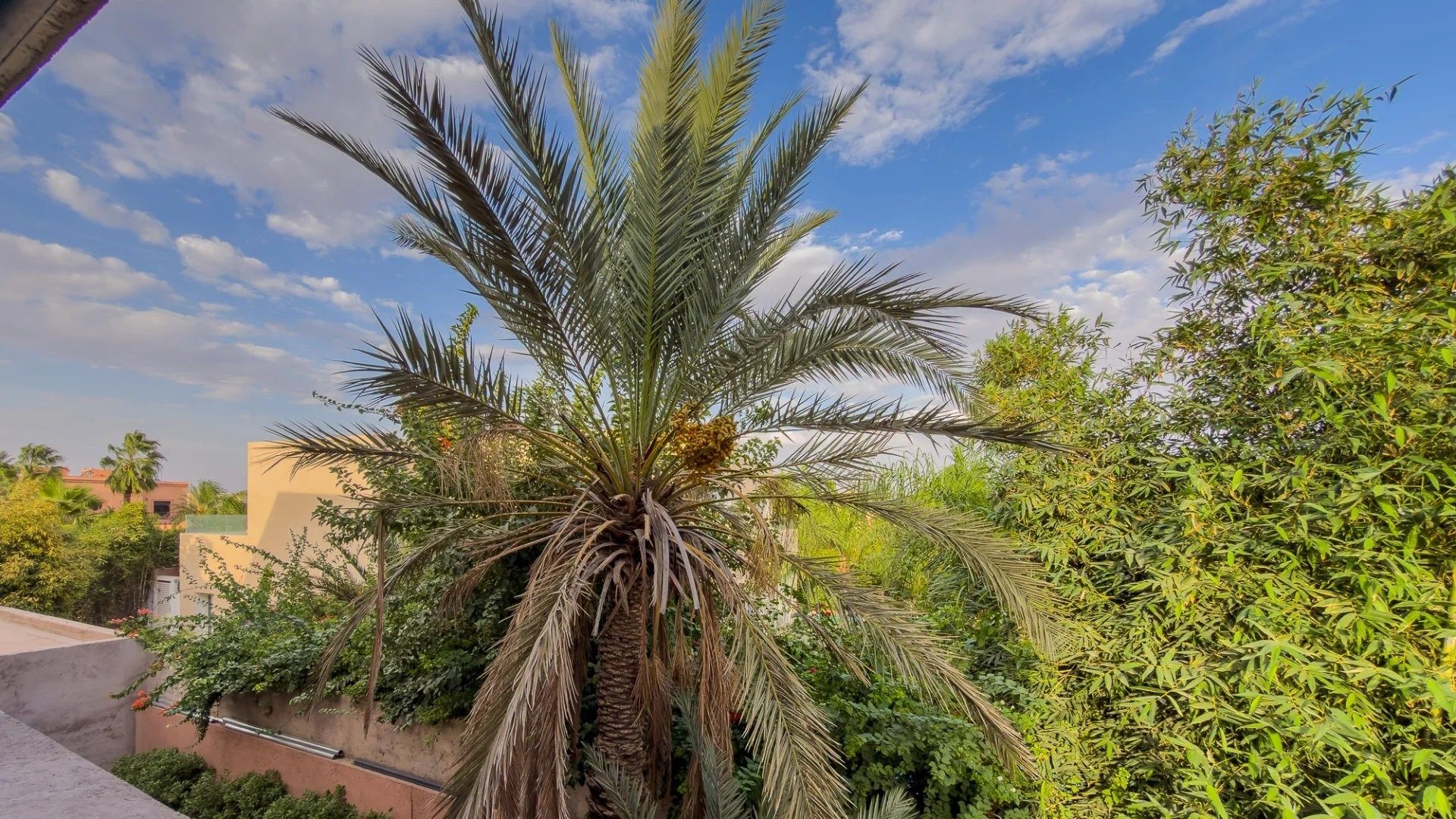 Acheter Villa 8&nbsp;pièces 550&nbsp;m² Marrakech