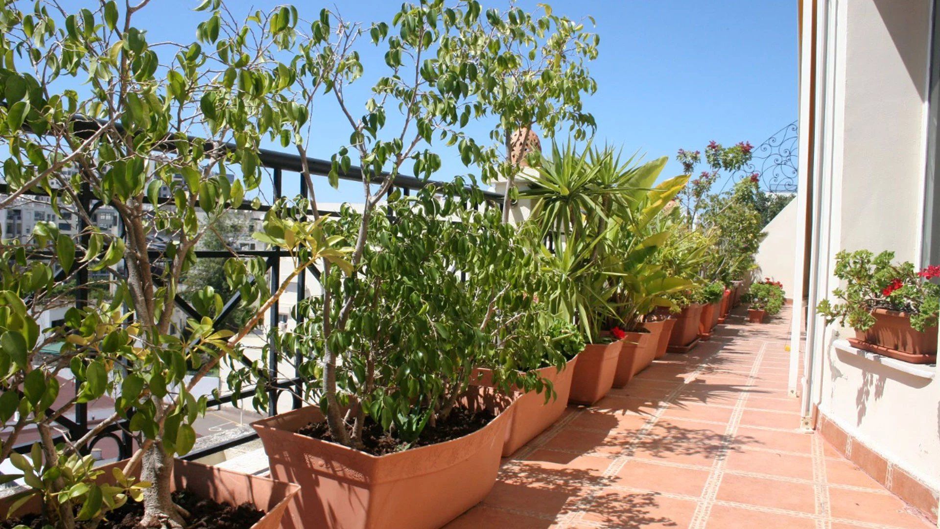 Acheter Penthouse 8 pièces 371 m² Casablanca