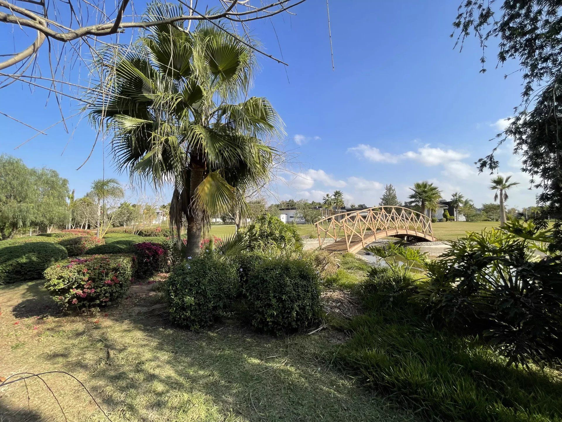 Acheter Ferme 13 pièces 800 m² Casablanca