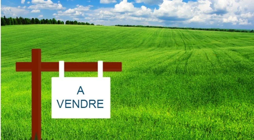 Acheter Terrain à bâtir 1000&nbsp;m² Casablanca