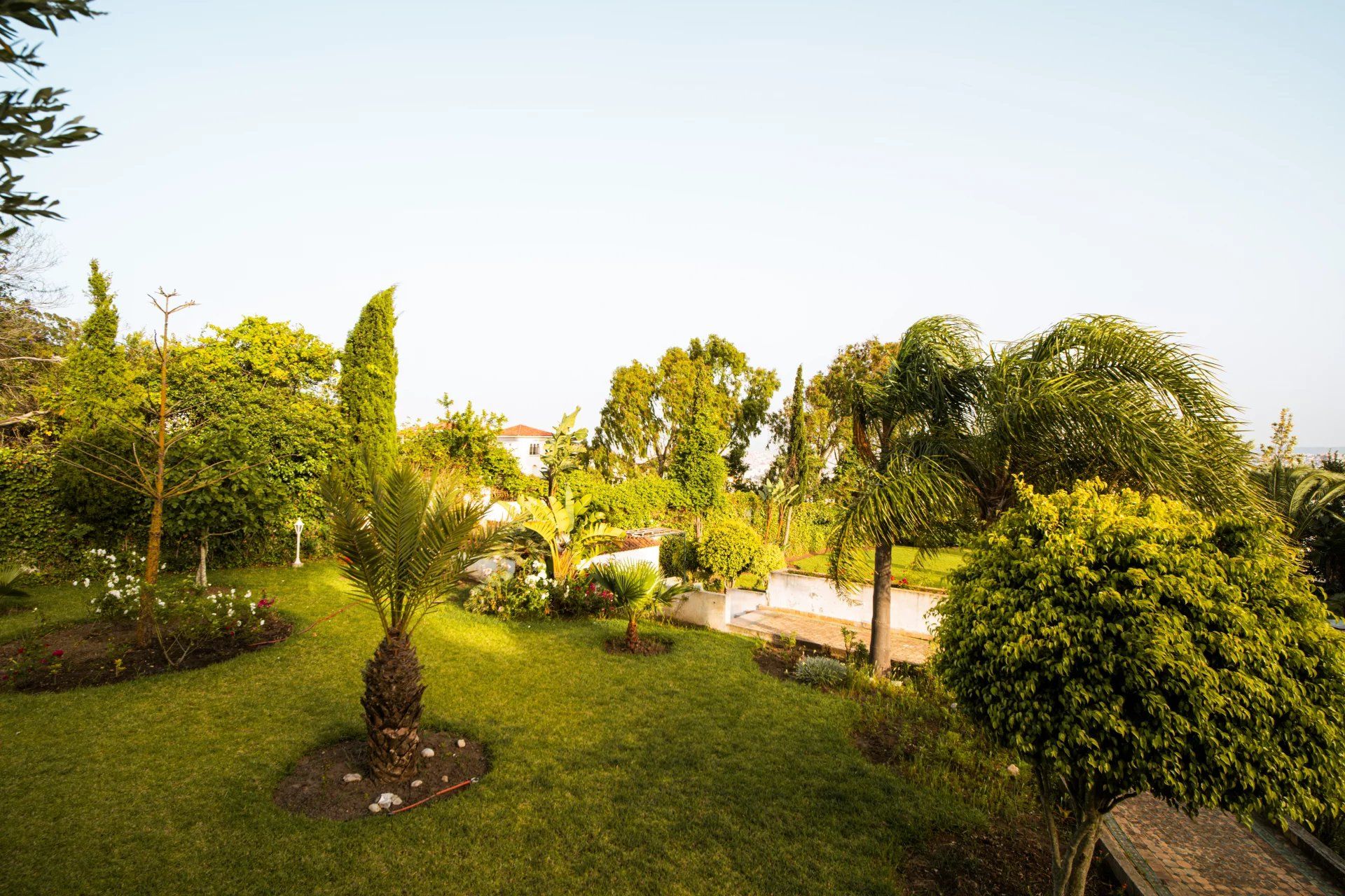 Acheter Appartement 7 pièces 263 m² Tanger