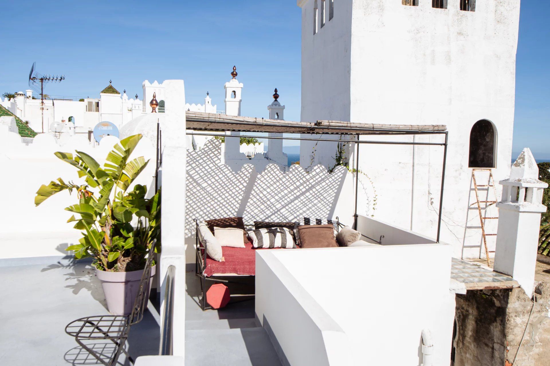 Acheter Commerce 7 pièces 350 m² Tanger