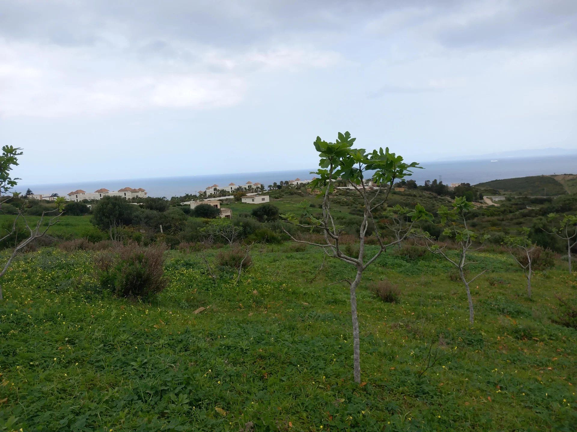 Acheter Terrain 5243&nbsp;m² Tanger