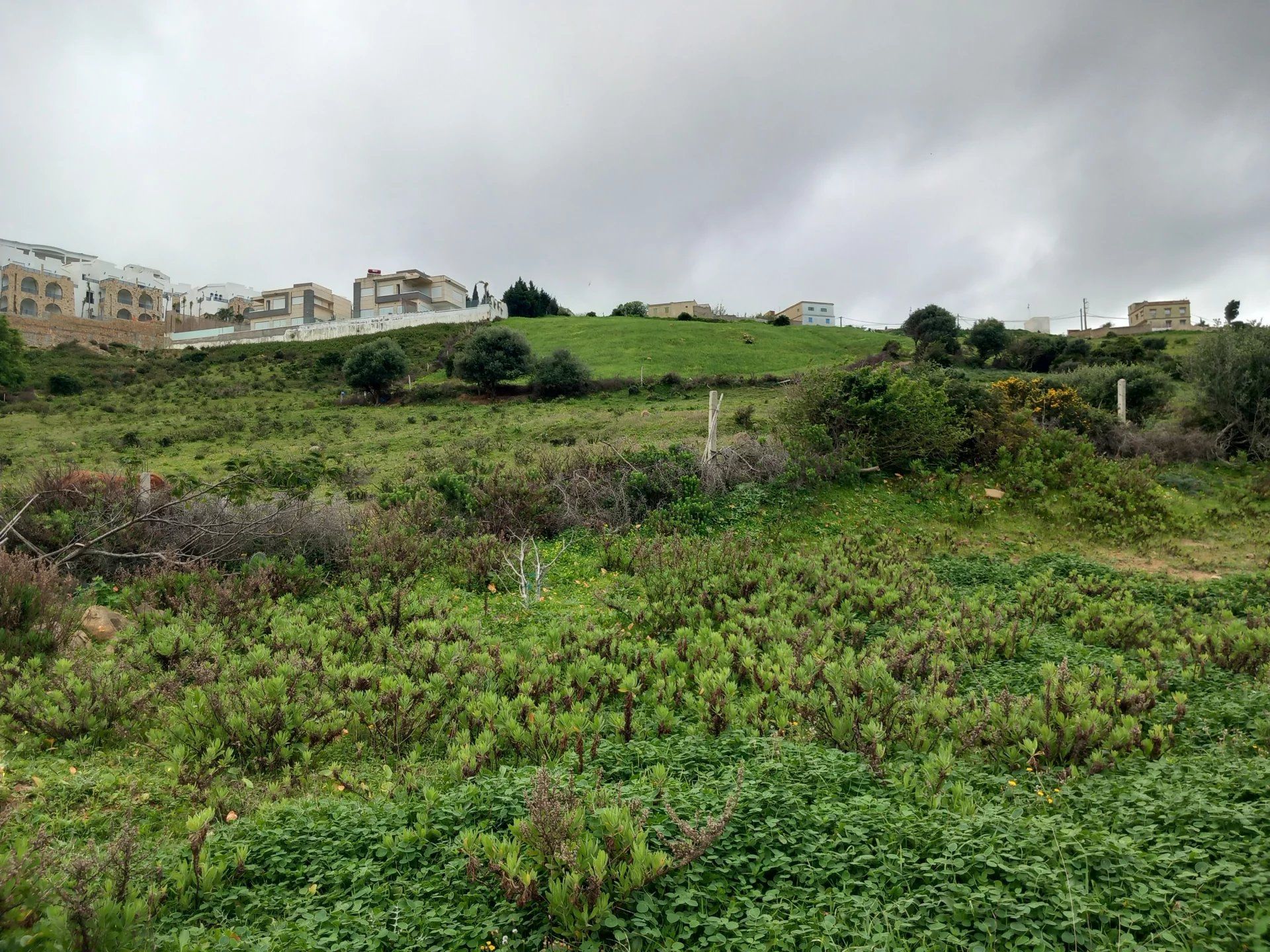 Acheter Terrain 5243 m² Tanger