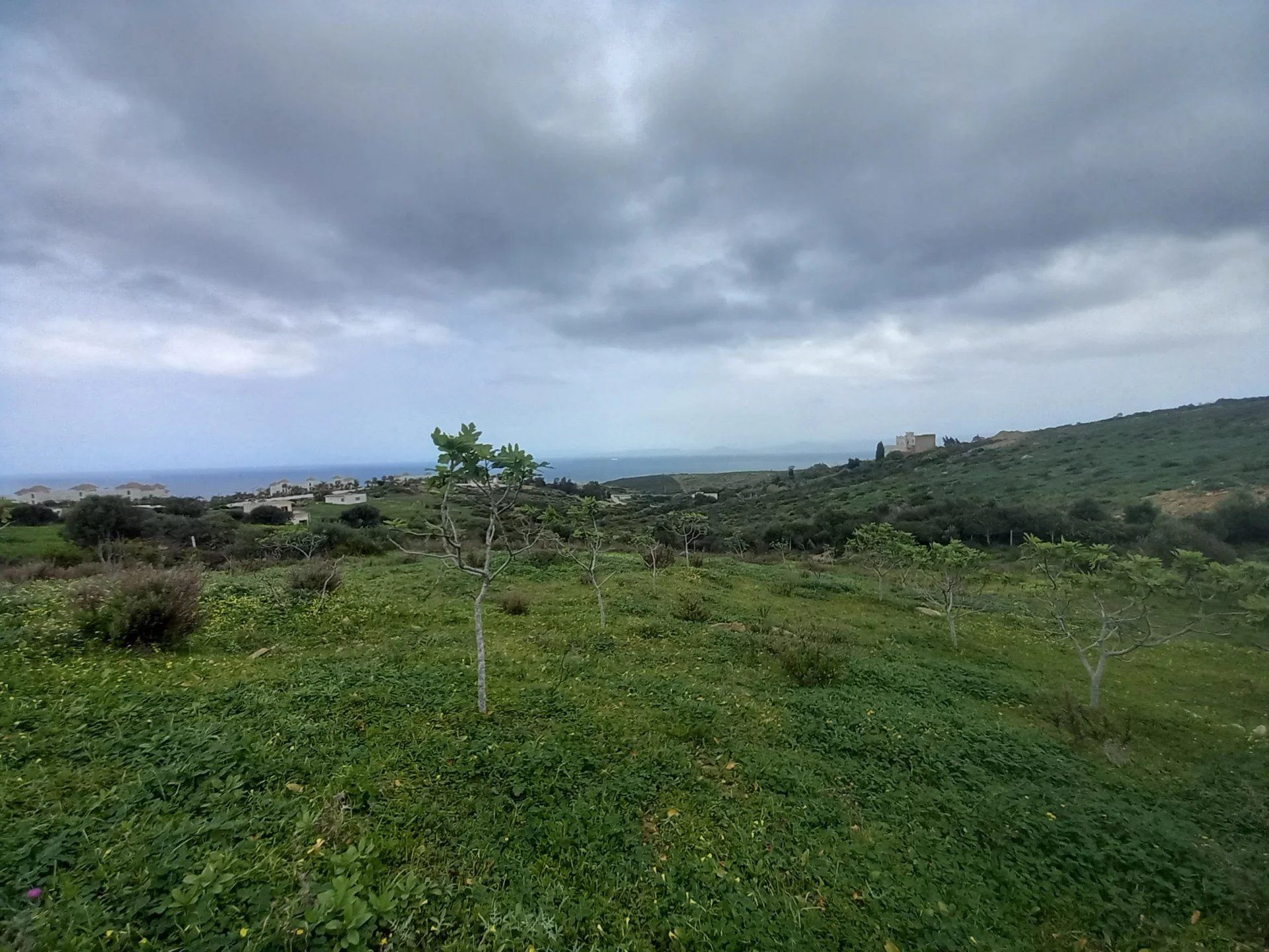 Acheter Terrain 5243&nbsp;m² Tanger