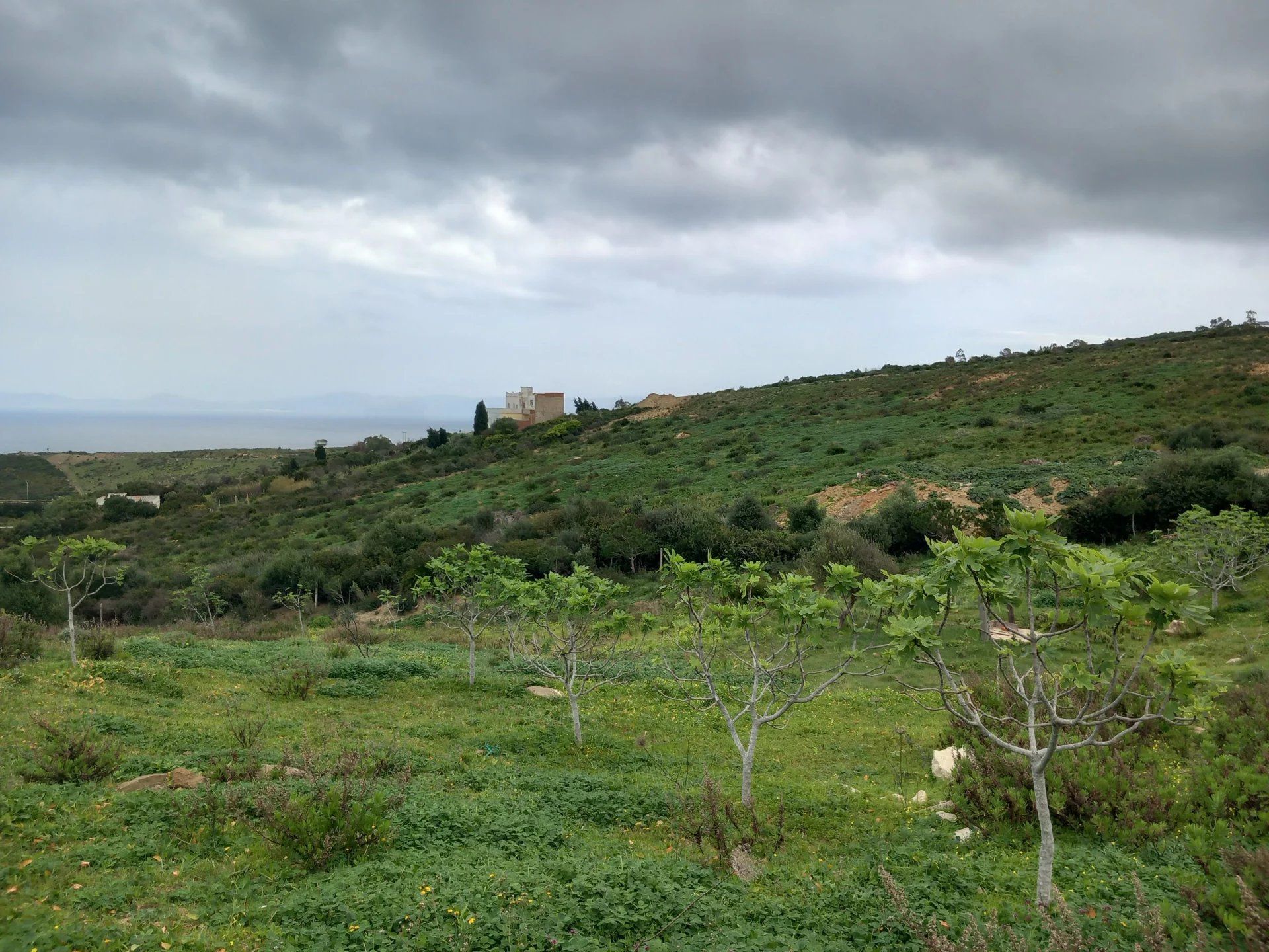Acheter Terrain 5243&nbsp;m² Tanger