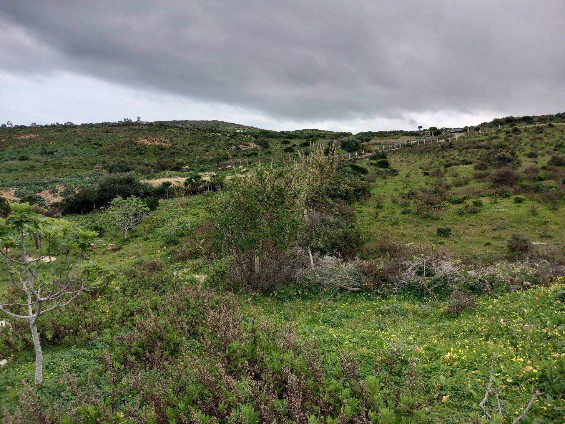 Acheter Terrain 5243&nbsp;m² Tanger