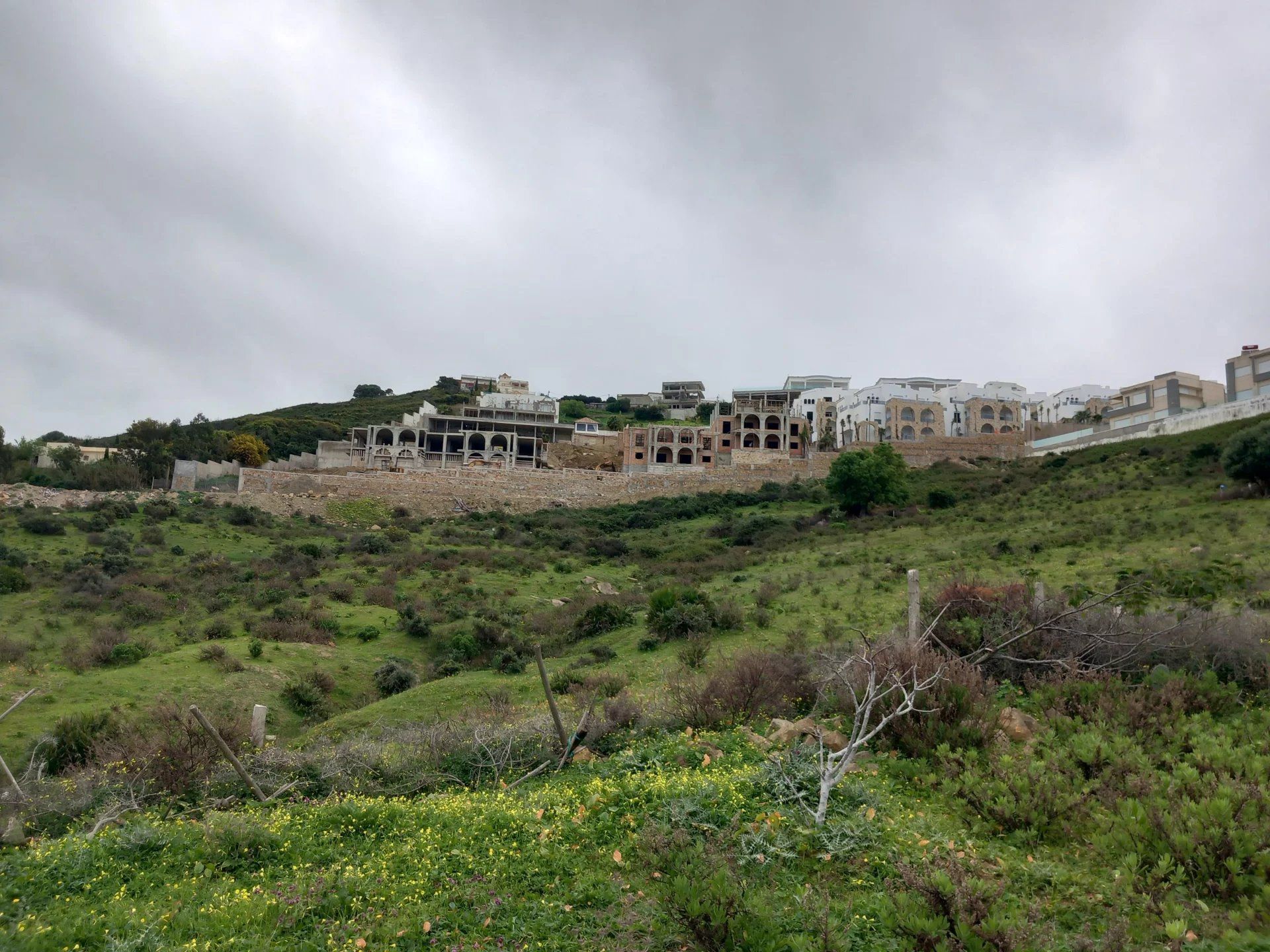 Acheter Terrain 5243 m² Tanger