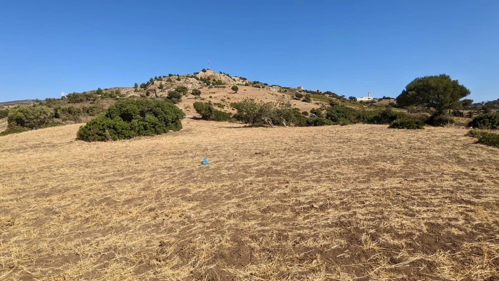 Acheter Terrain à bâtir 4.23 ha Tanger