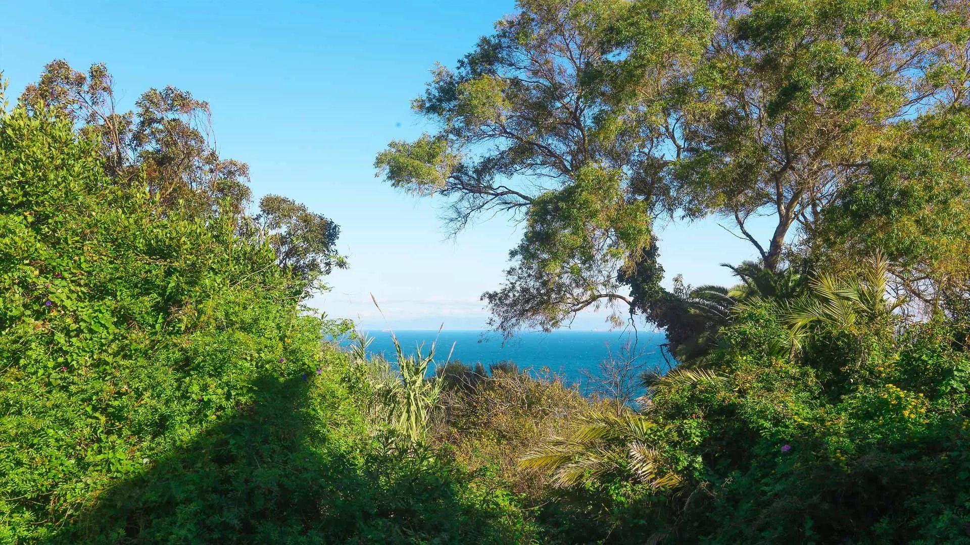 Acheter Terrain à bâtir 7385 m² Tanger