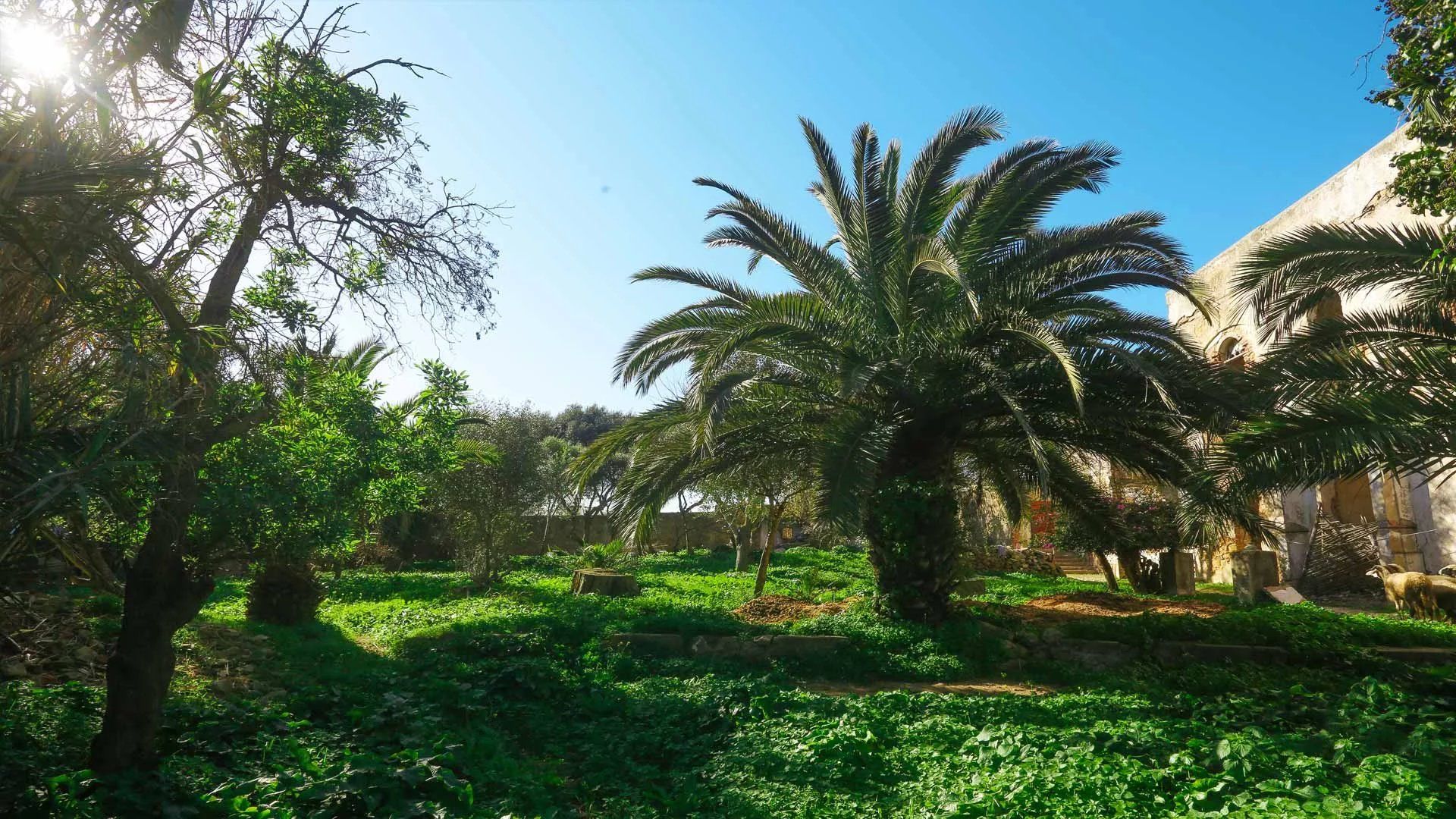 Acheter Terrain à bâtir 7385&nbsp;m² Tanger