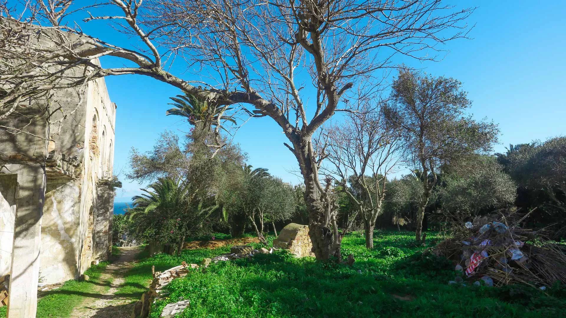 Acheter Terrain à bâtir 7385&nbsp;m² Tanger