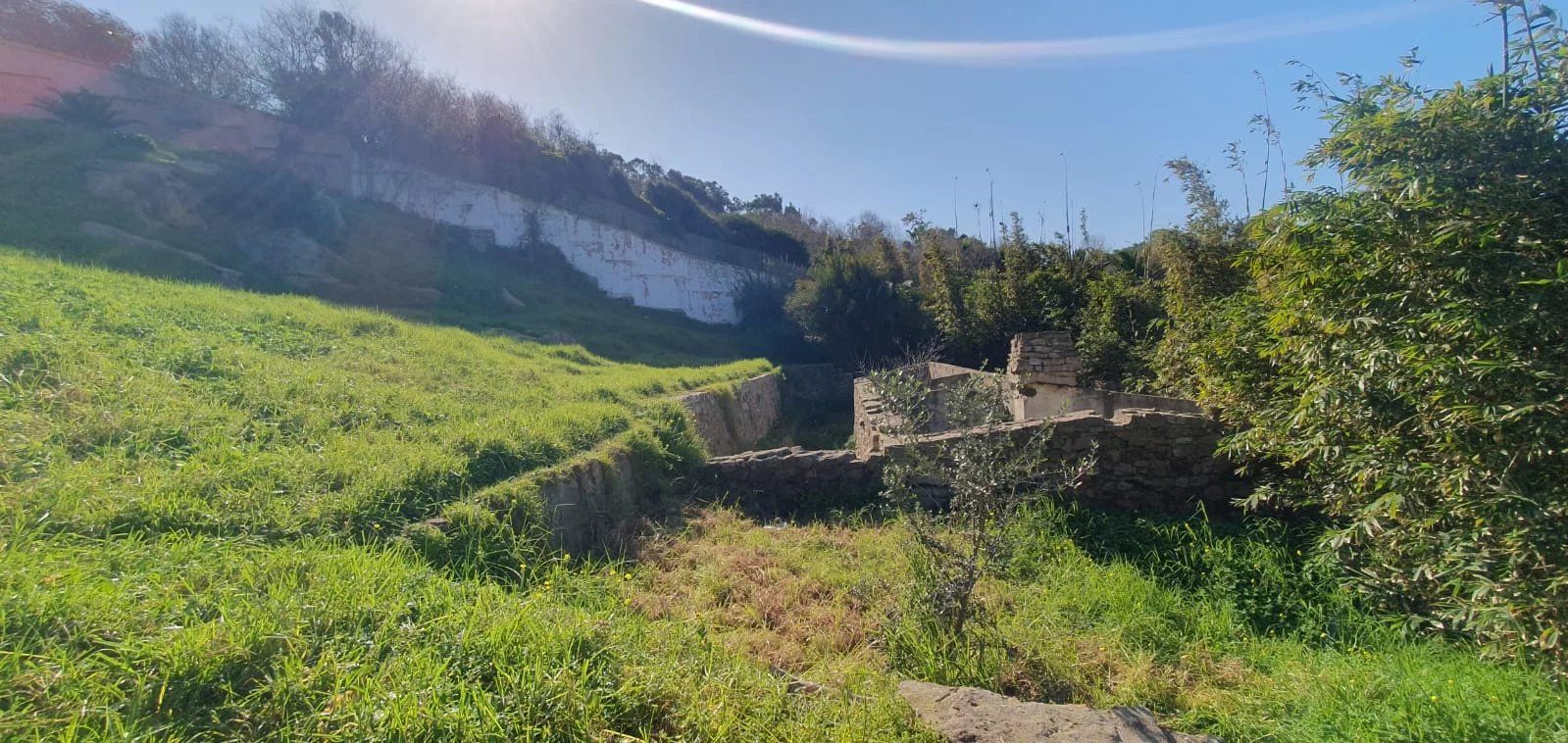 Acheter Terrain à bâtir 8000 m² Tanger