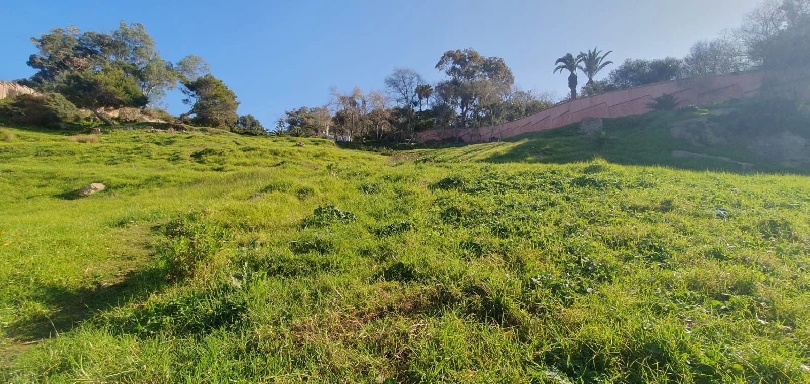 Acheter Terrain à bâtir 8000 m² Tanger