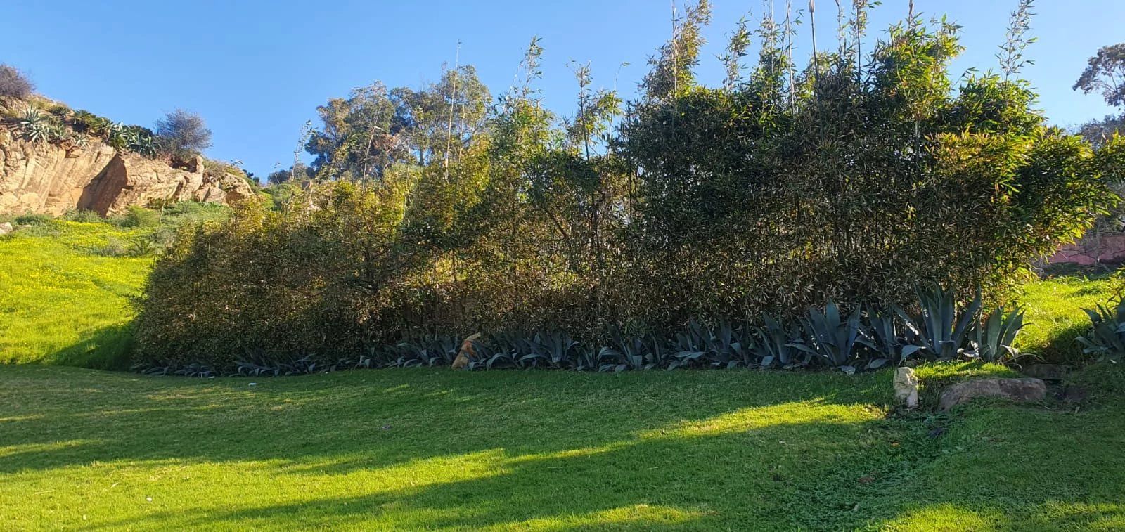 Acheter Terrain à bâtir 8000 m² Tanger