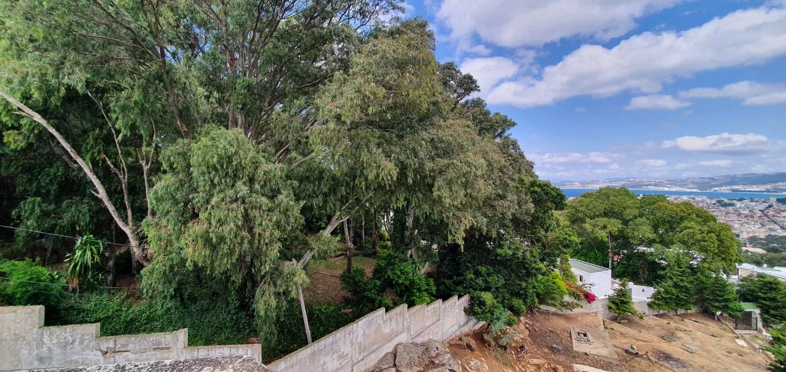 Acheter Villa 8 pièces 500 m² Tanger