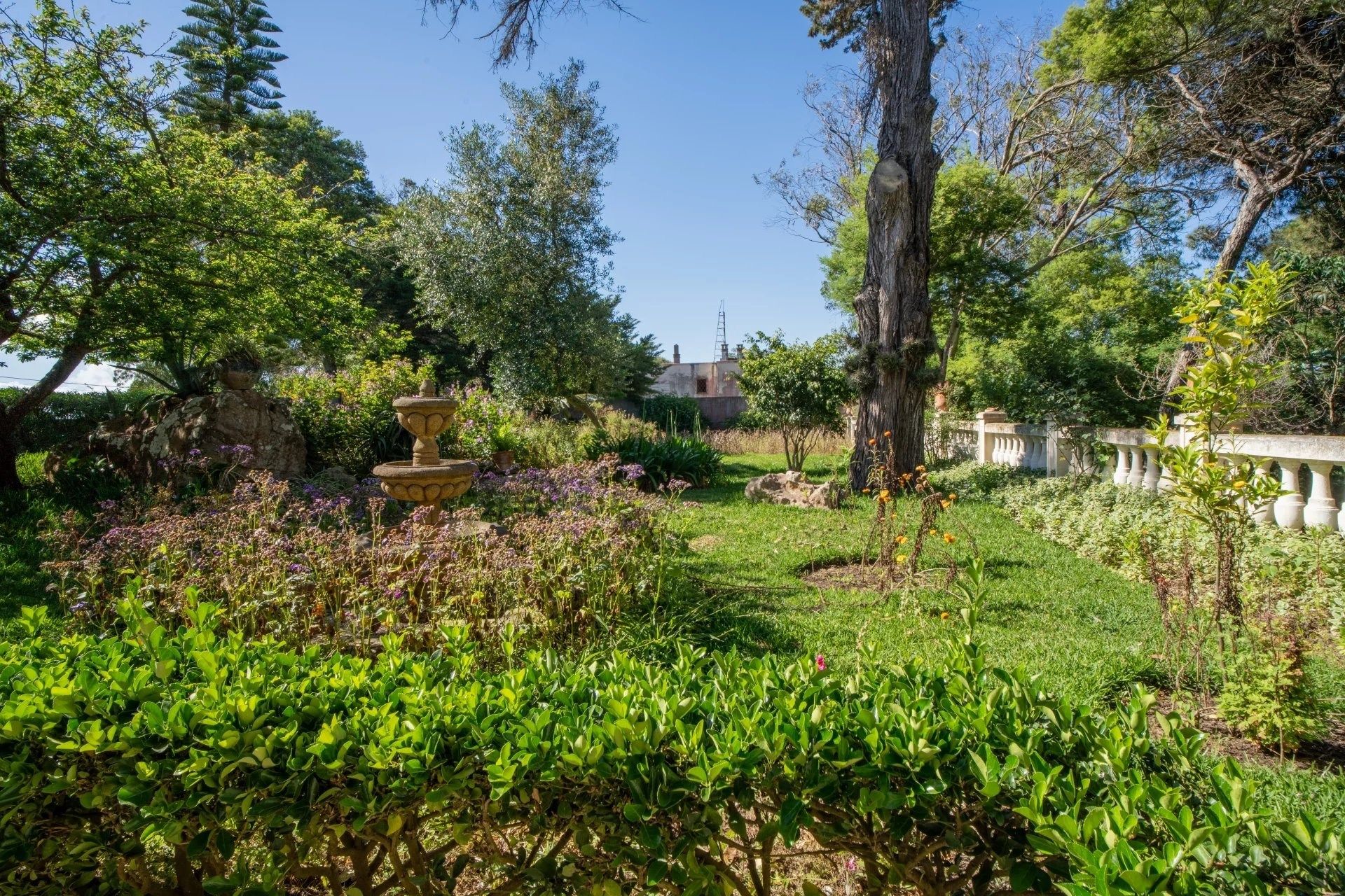 Acheter Villa 6&nbsp;pièces 514&nbsp;m² Tanger