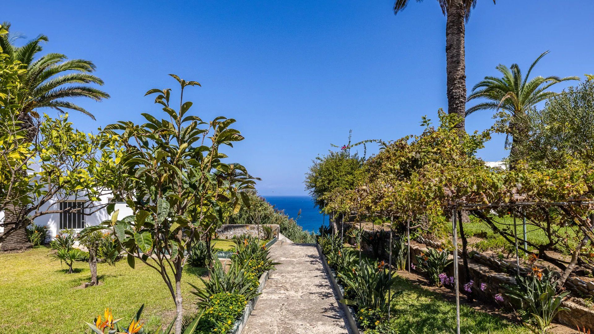 Acheter Villa 7 pièces 999 m² Tanger