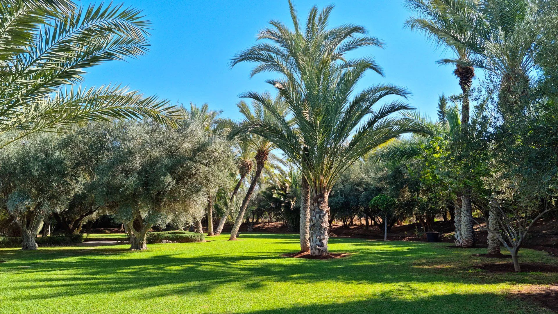 Acheter Villa 17&nbsp;pièces 1250&nbsp;m² Marrakech
