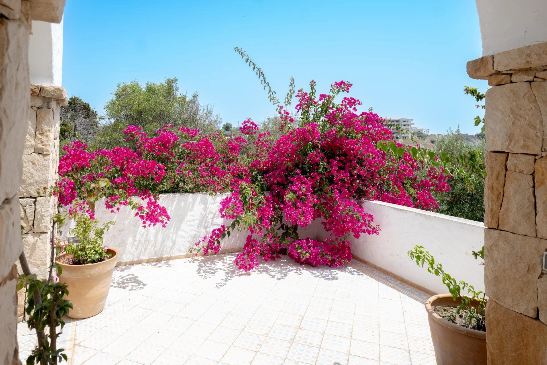 Acheter Villa 5&nbsp;pièces 569&nbsp;m² Assilah