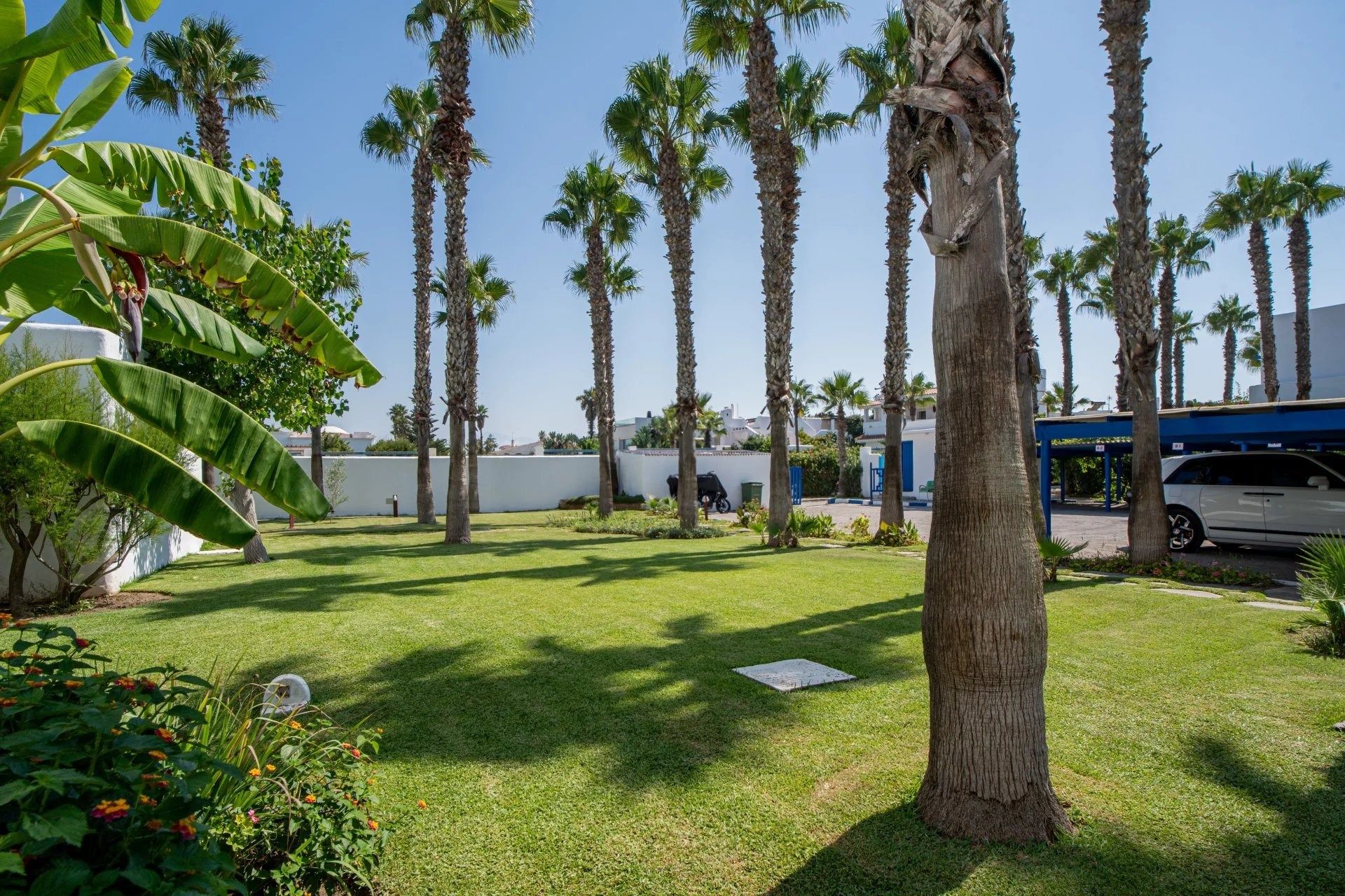 Acheter Villa 7 pièces 349 m² Cabo Negro