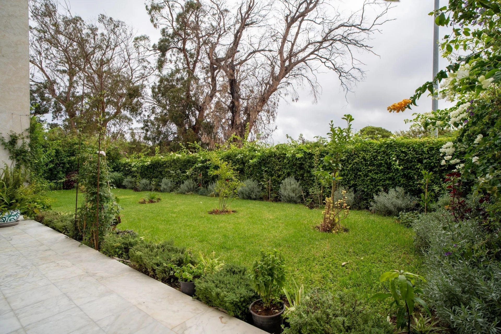 Acheter Appartement 5 pièces 313 m² Tanger