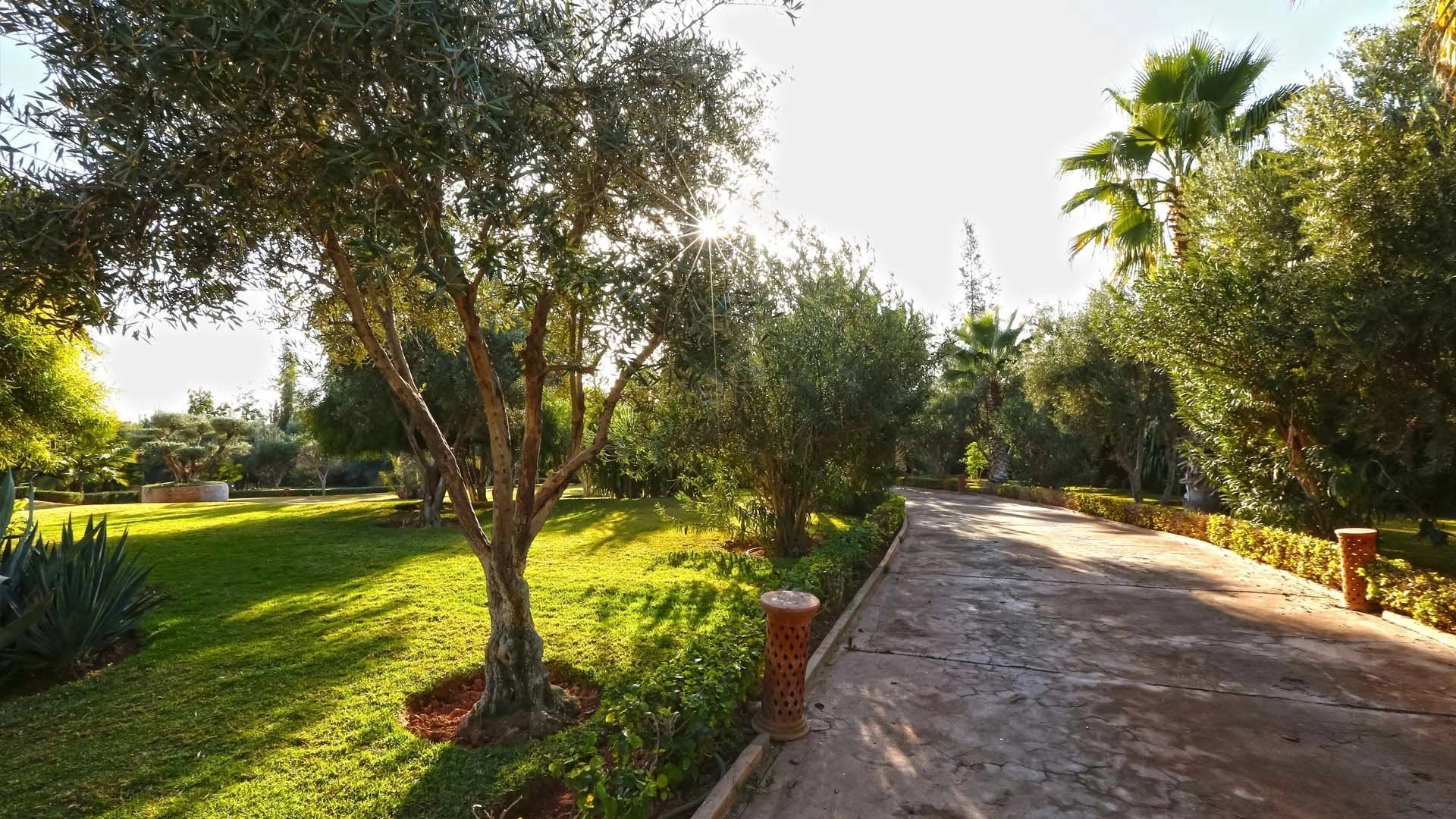 Acheter Villa 24&nbsp;pièces 1490&nbsp;m² Marrakech