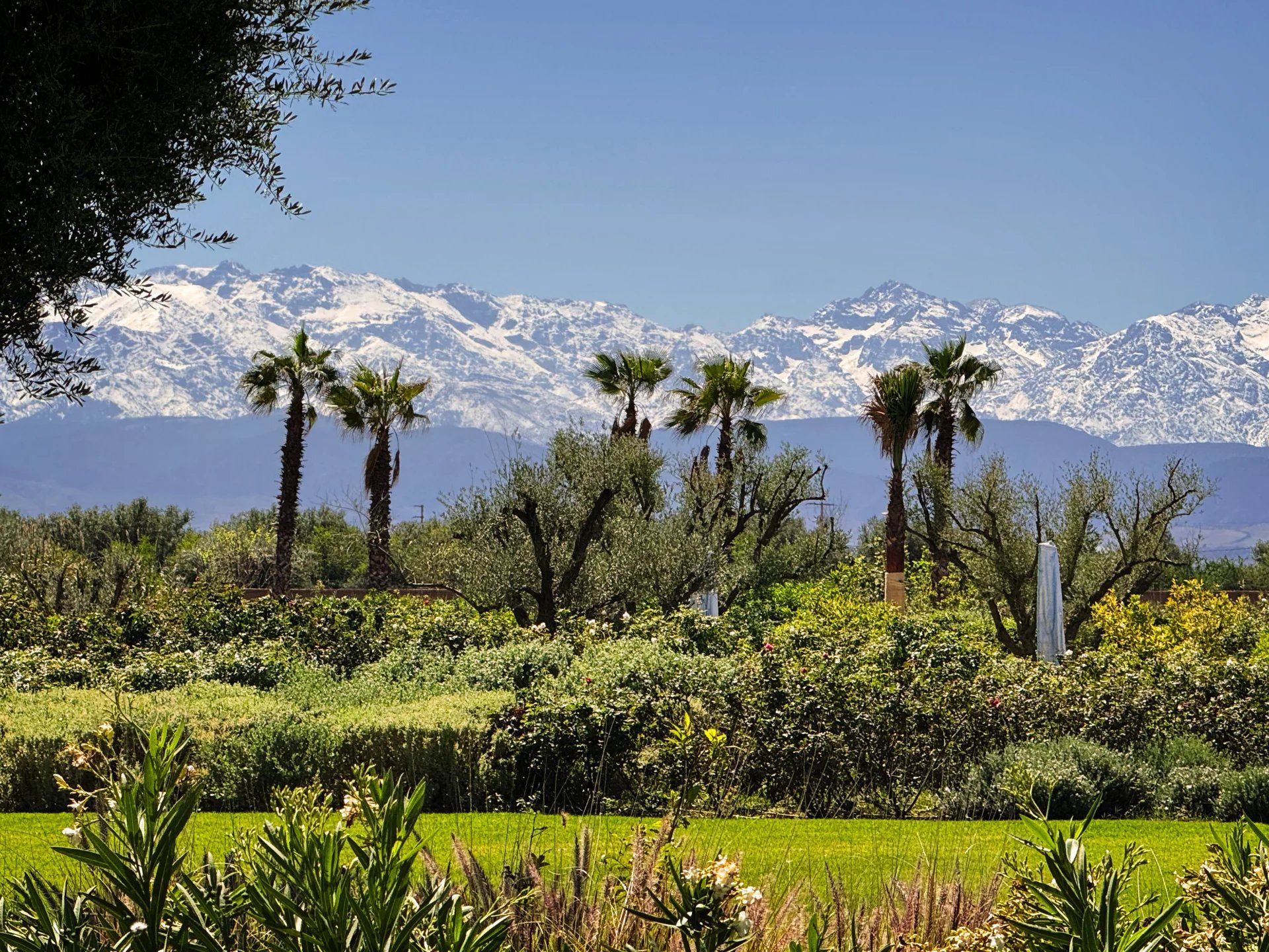 Buy Villa 8 rooms 750 m² Marrakech