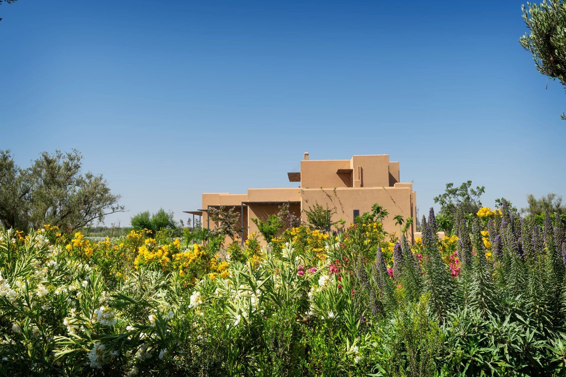 Buy Villa 8 rooms 750 m² Marrakech