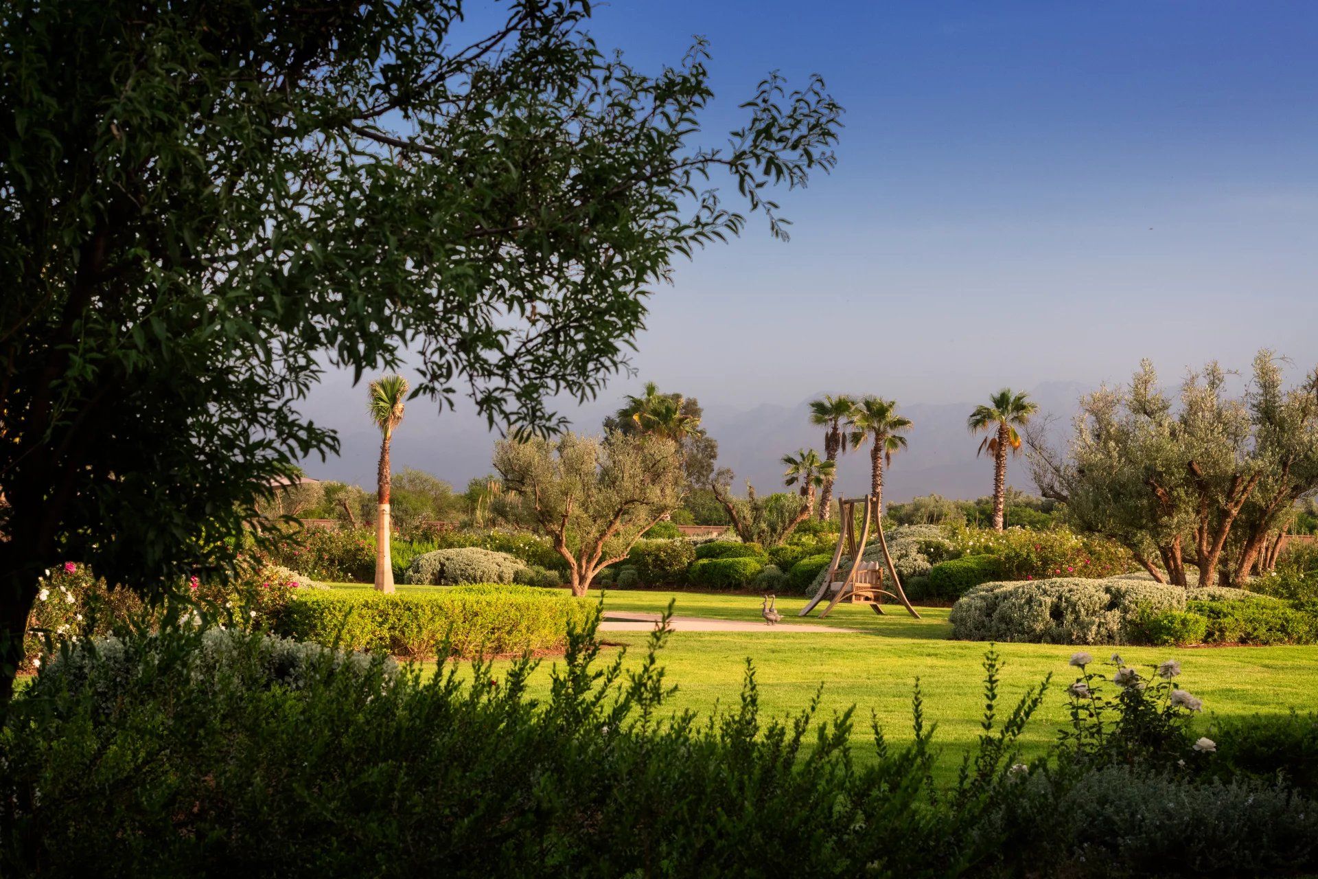 Buy Villa 8 rooms 750 m² Marrakech