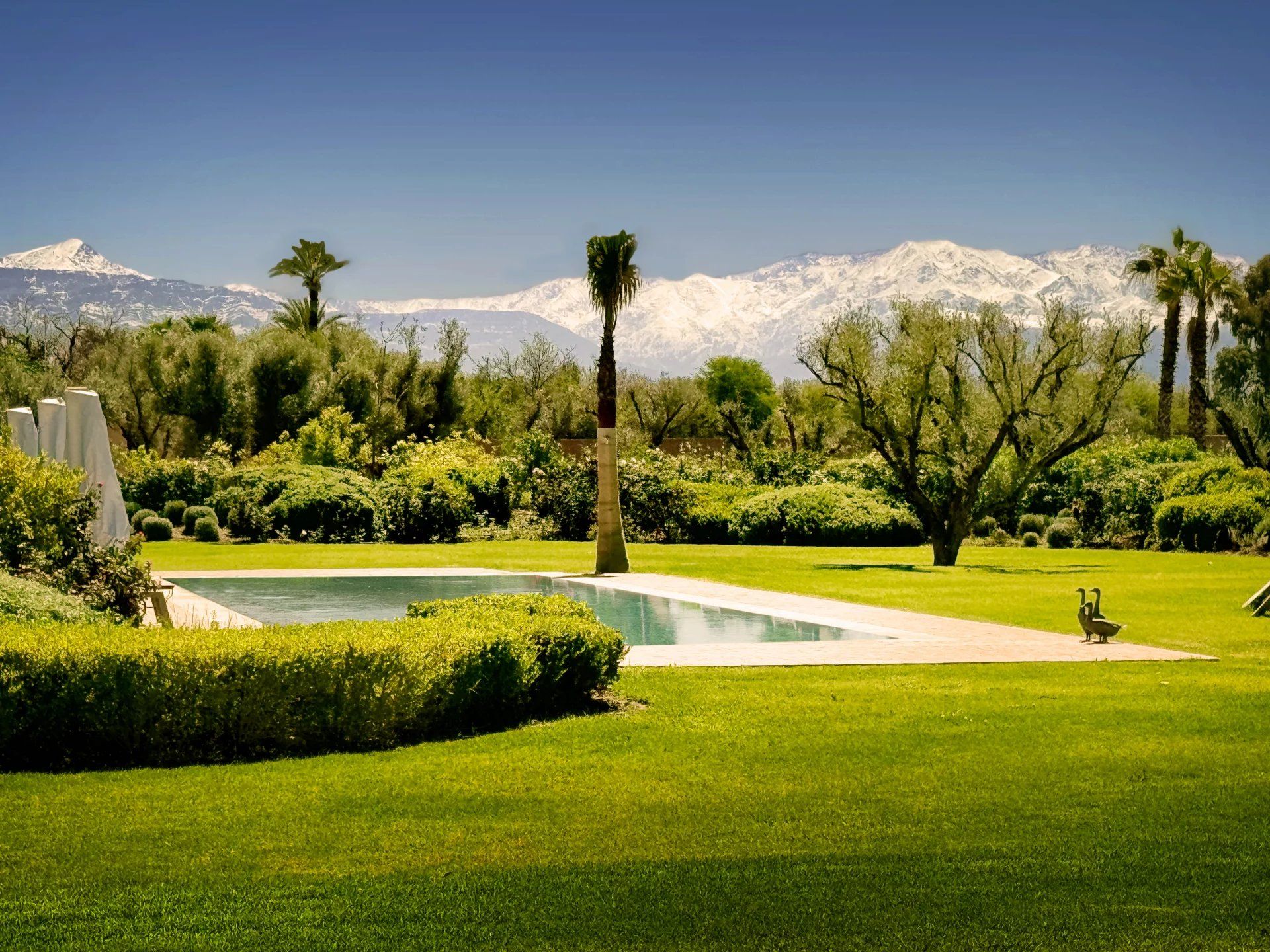 Buy Villa 8 rooms 750 m² Marrakech